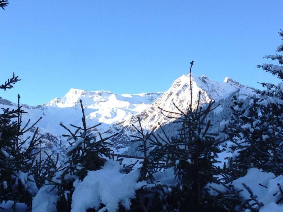 5Min Walk To Audi FIS Ski World Cup Swiss Studio