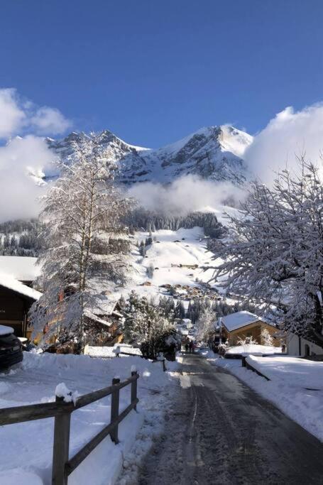 5Min Walk To Audi FIS Ski World Cup Swiss Studio