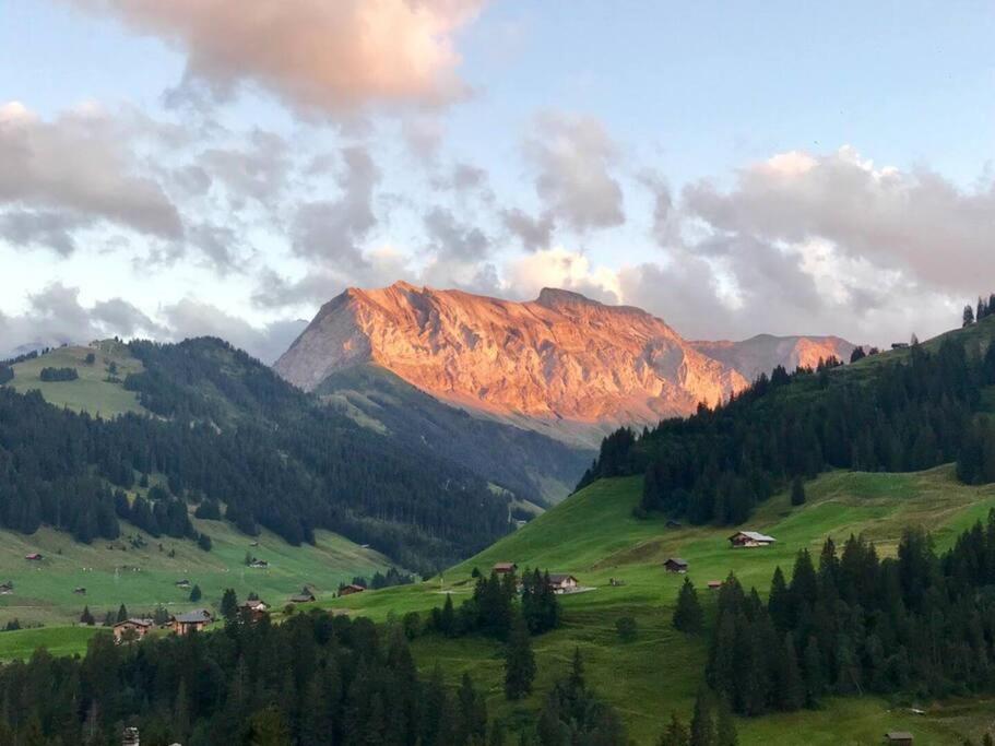 5Min Walk To Audi FIS Ski World Cup Swiss Studio