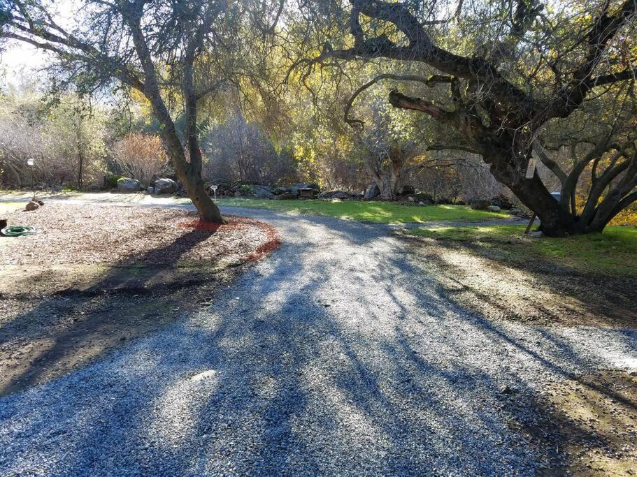 Sequoia River House, close to SNP, 2 Decks on Amazing River on 7acres view 3