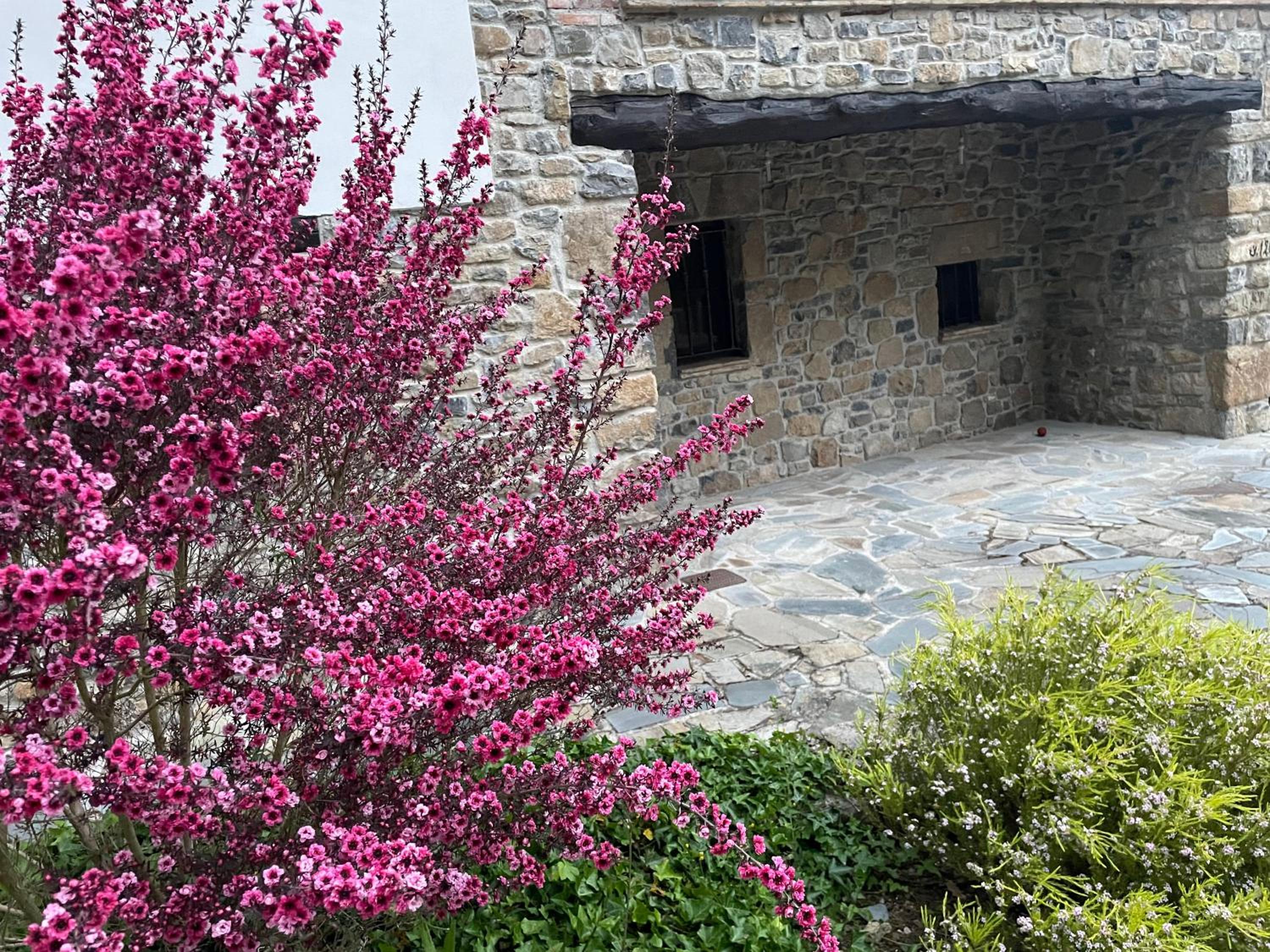 LA QUINTA DE PUELLES