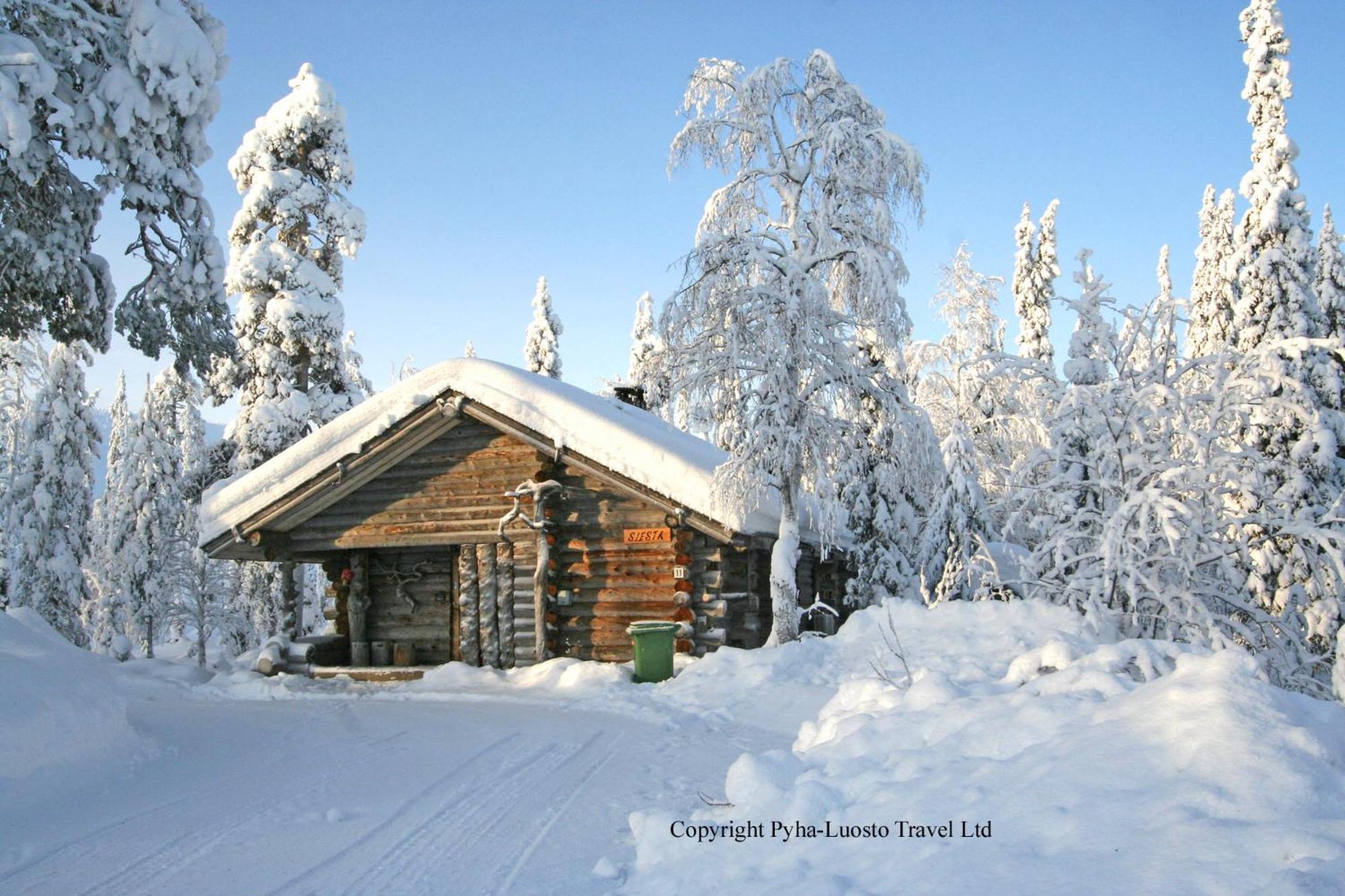 Log House Siesta