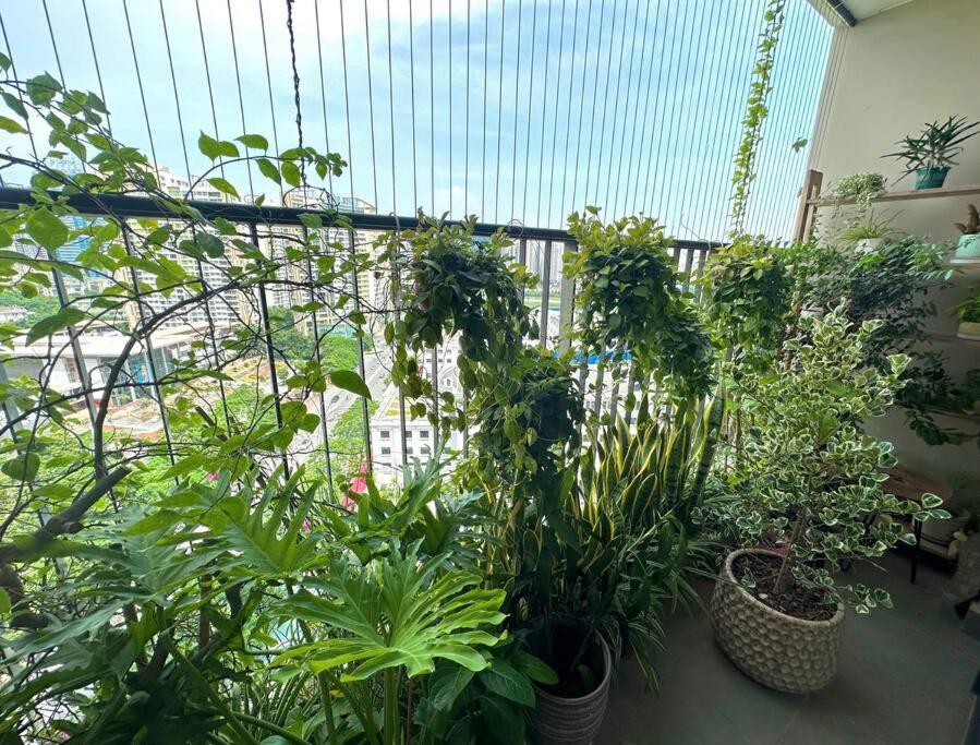 3BDR2WC/Lakeview/Dcapitale