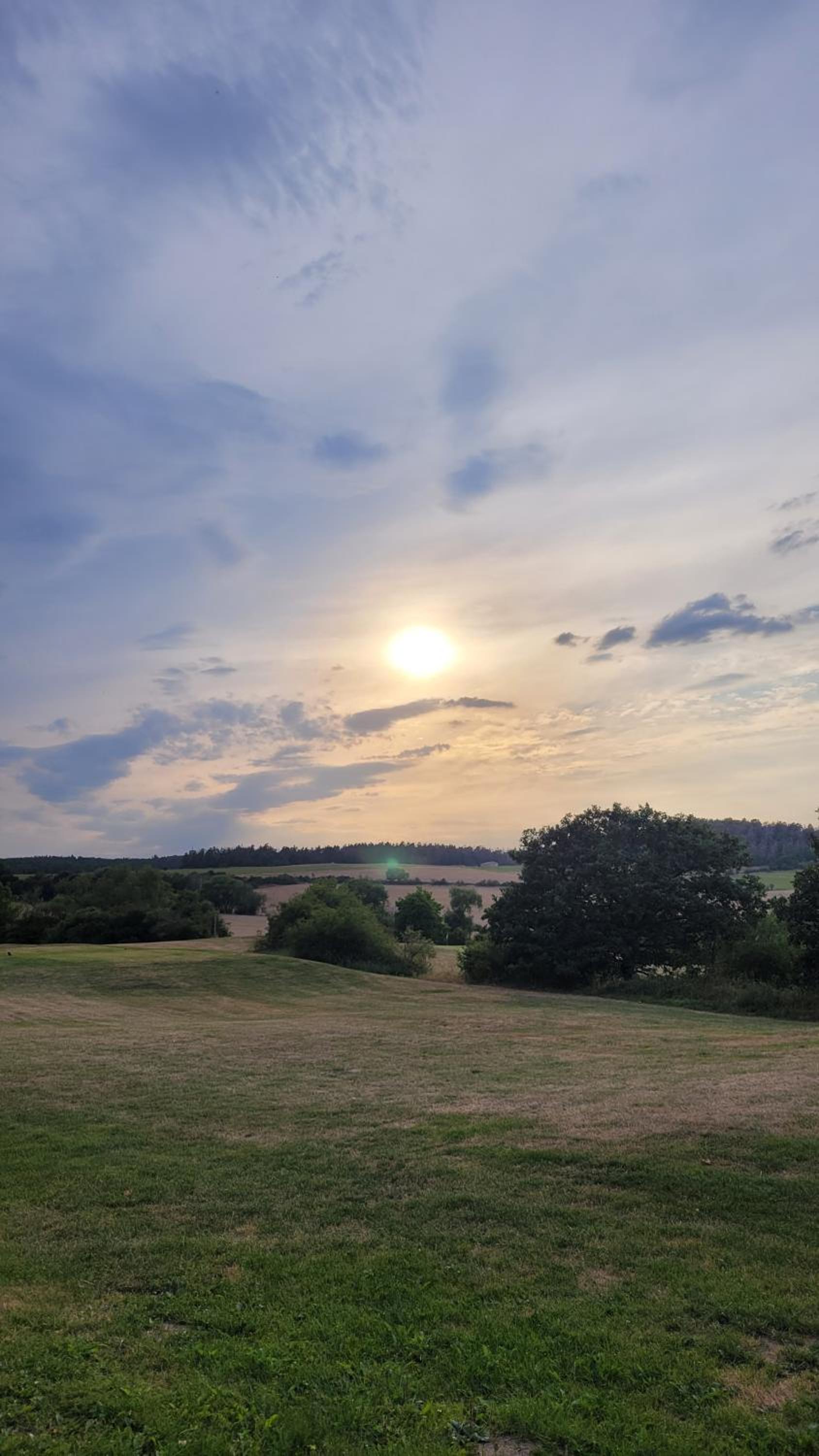 Falkenhof Meisdorf