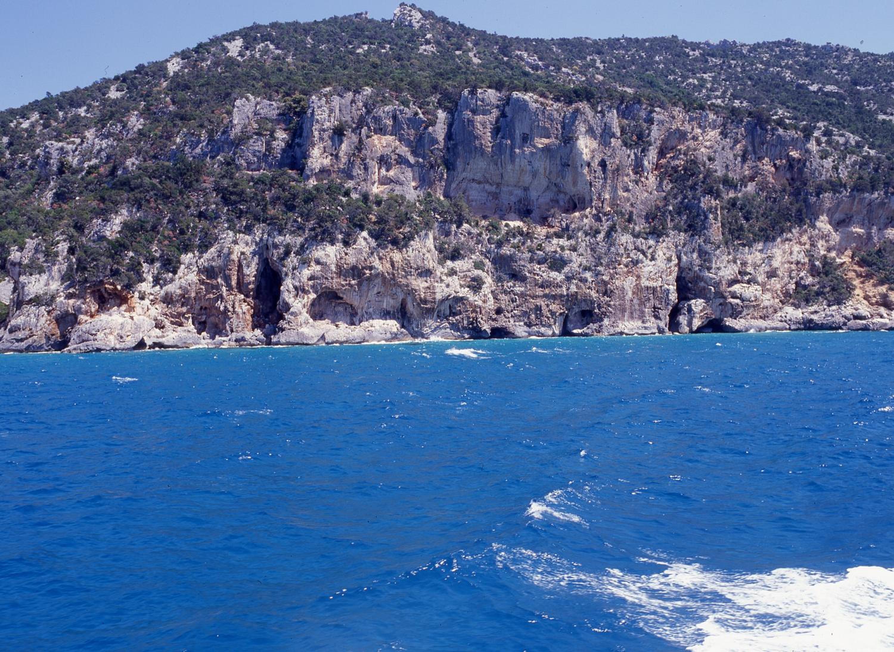 Photo 45