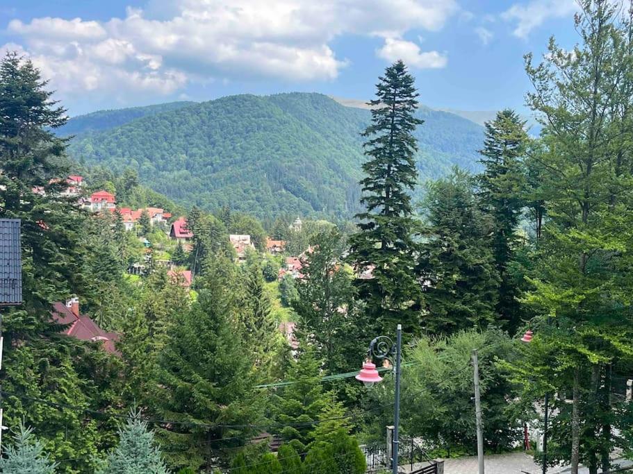 Vila Tequila Sinaia view 2