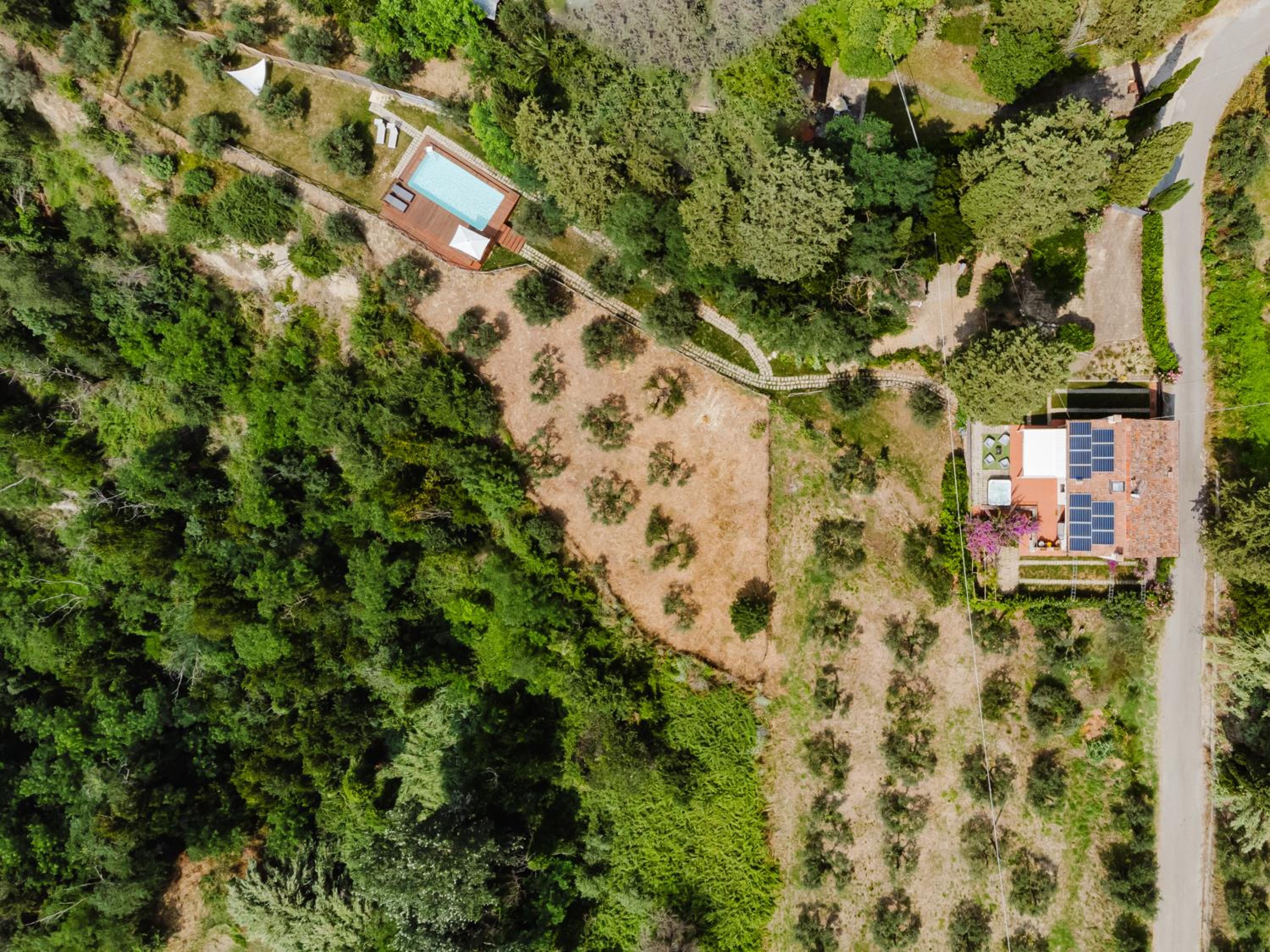 Tognazzi Casa Vacanze - Panoramic Villa