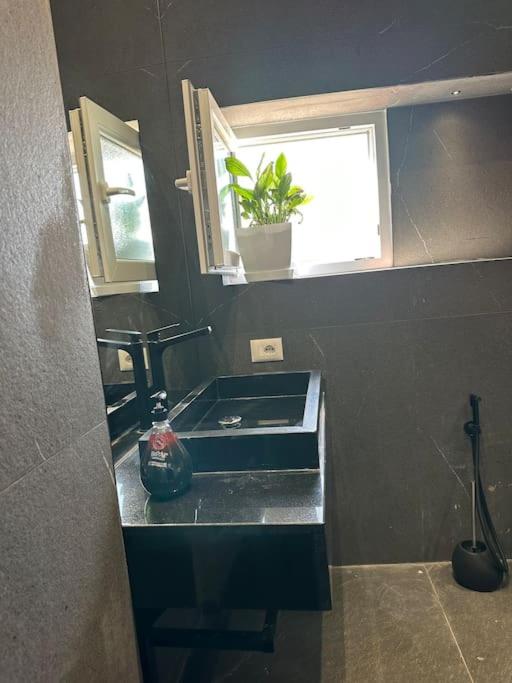 Green Apartment