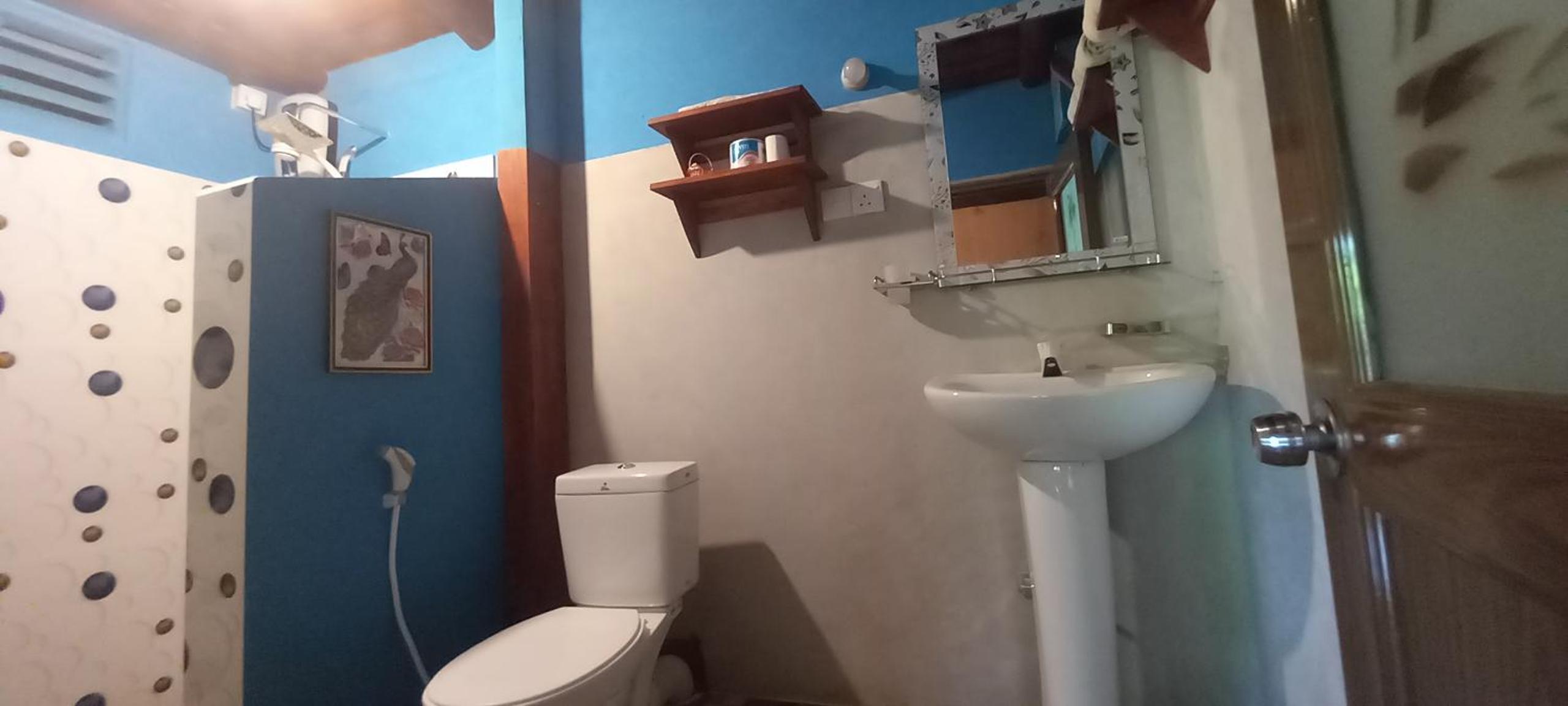 Sigiri Heritage Villa