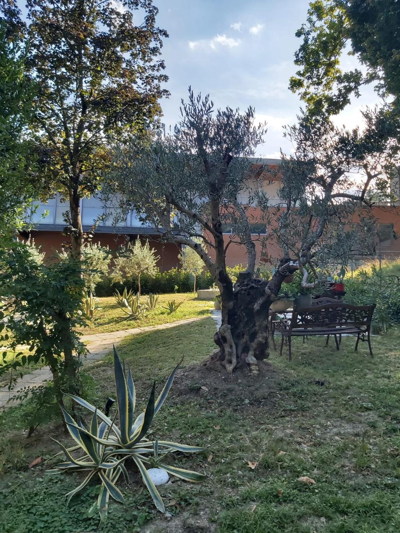 B&B Borgo dei Cedri view 3