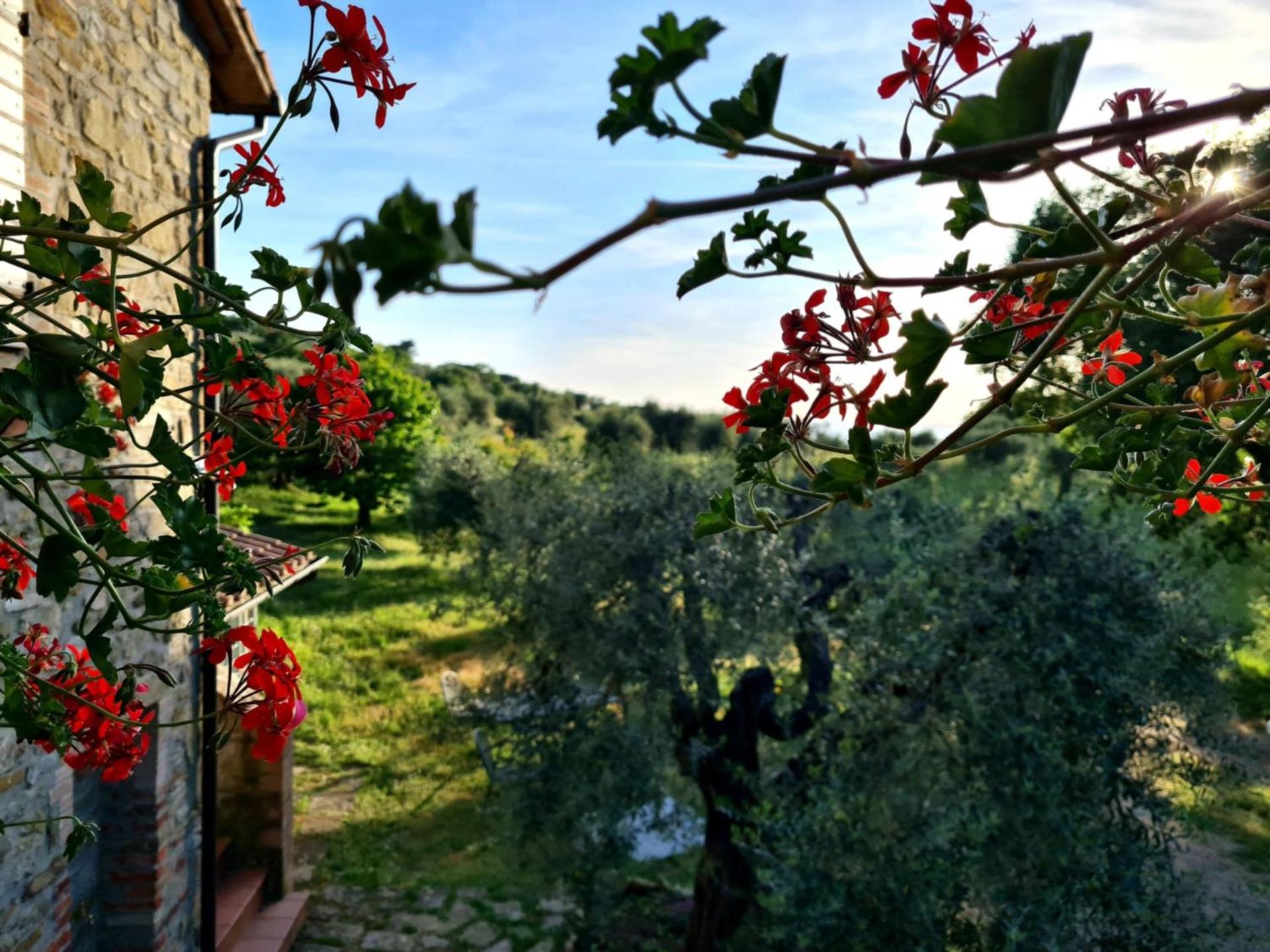 Villa Profumo di Salvia