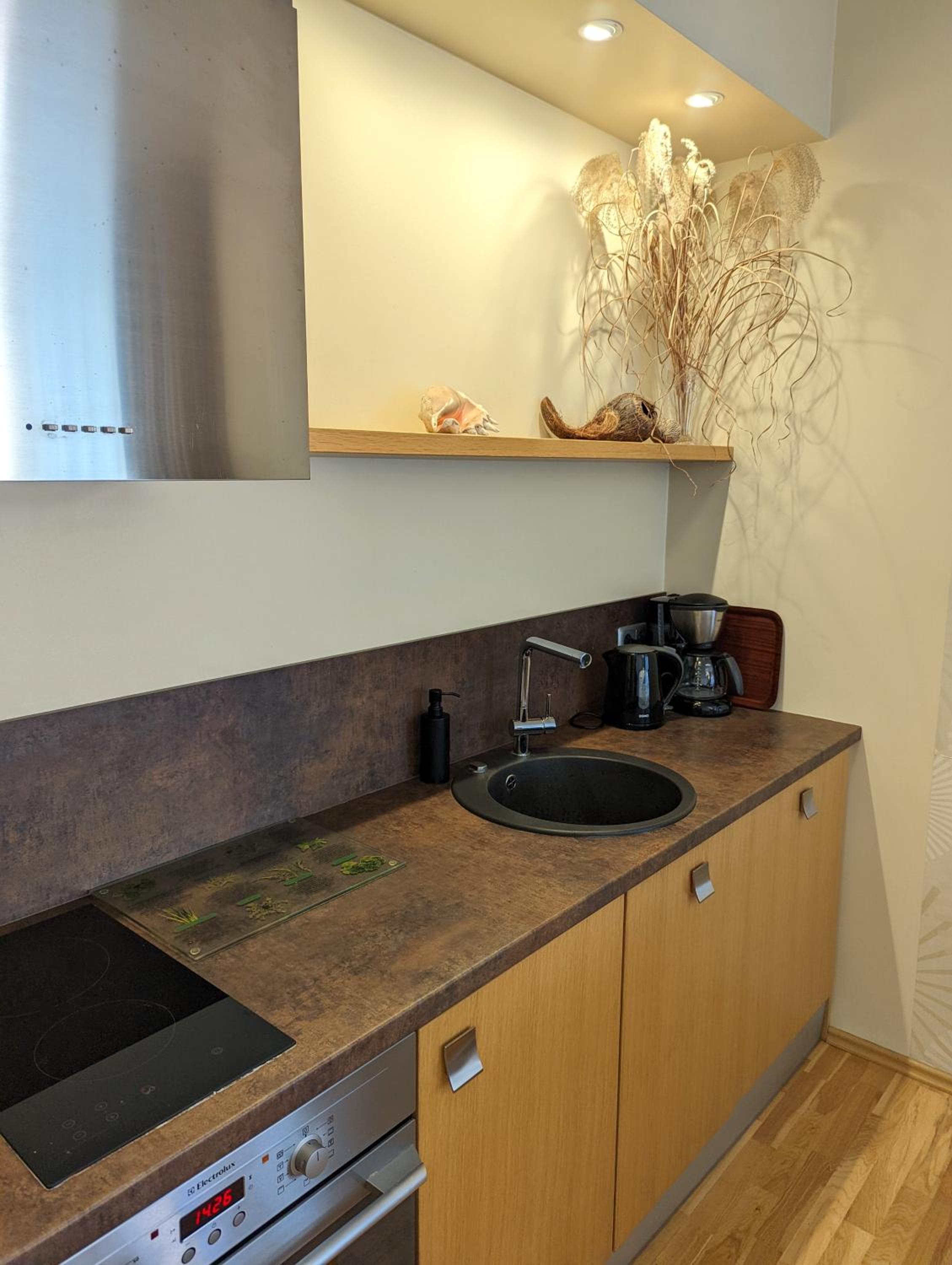 Studio Apartment with Sauna