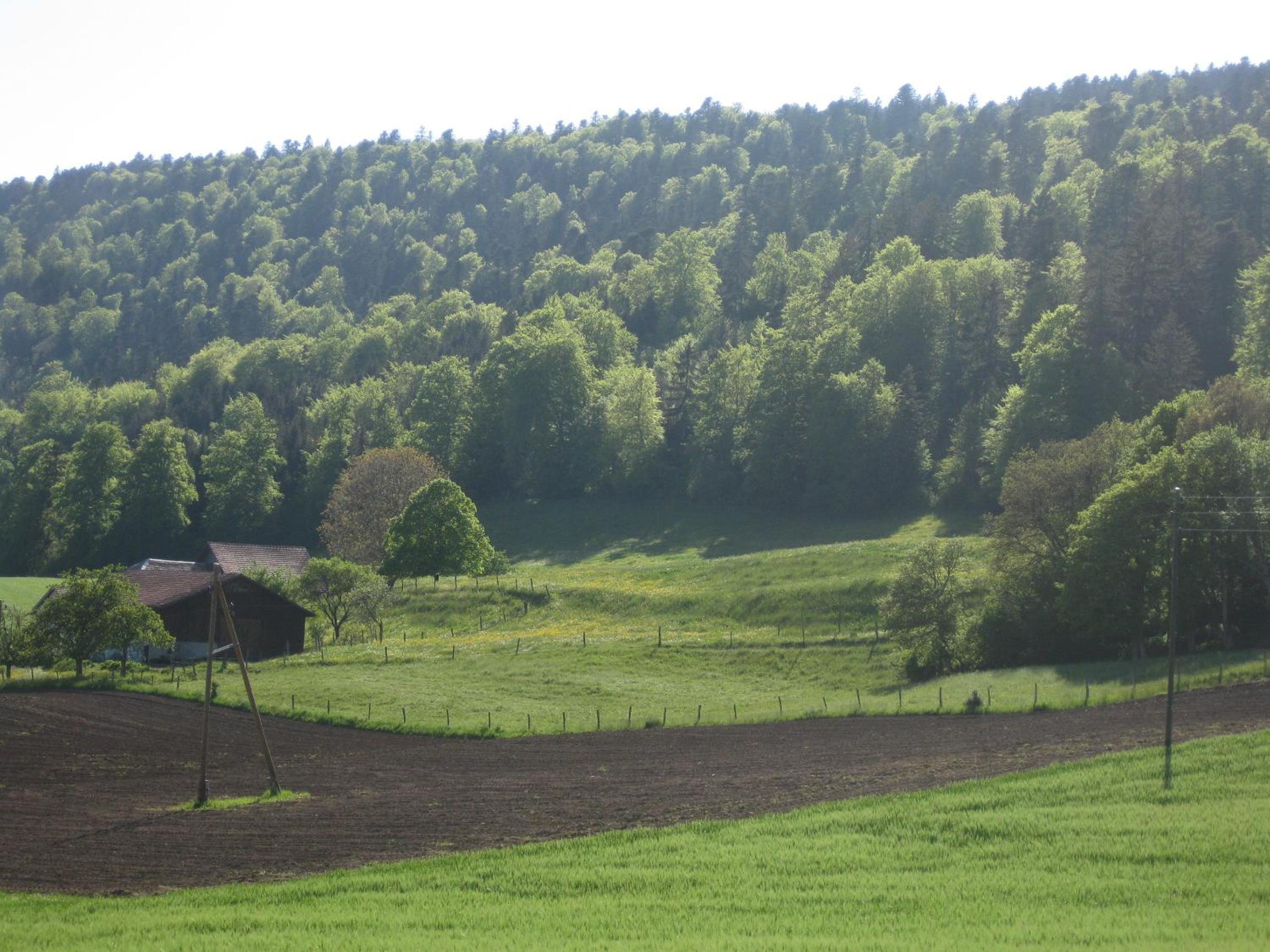 Bed & Breakfast aux Enges