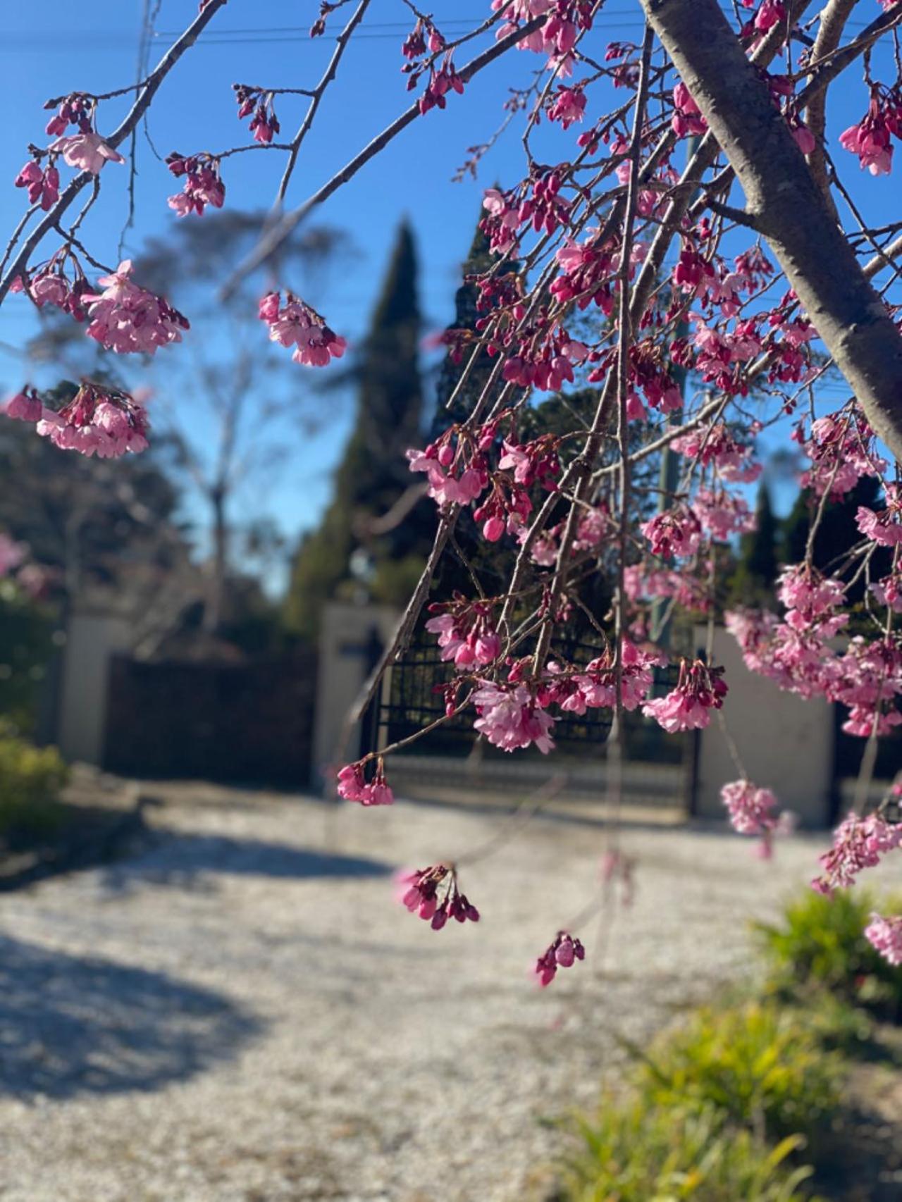 The Manor in Blue Mountains