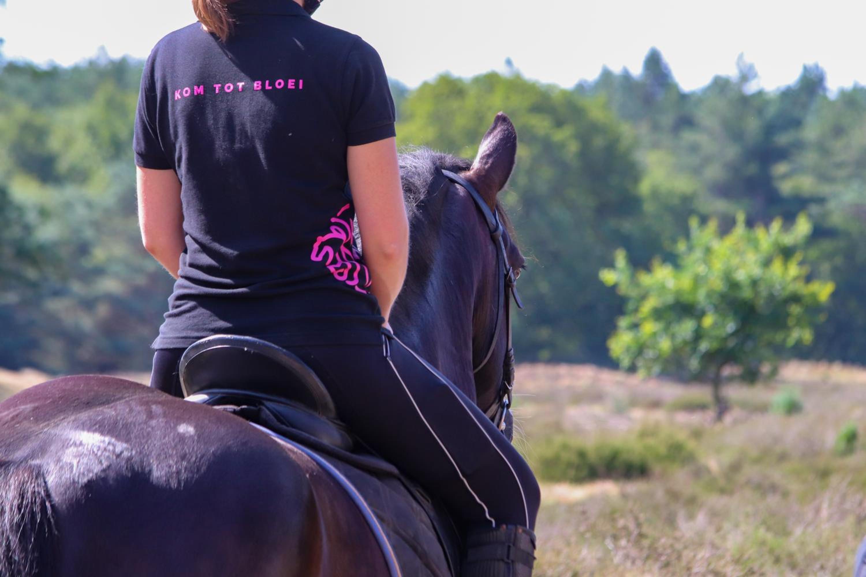 Magnolia Hoeve - Unieke Bestemming voor Paardenliefhebbers en Bijzondere Overnachtingen in de natuur view 2