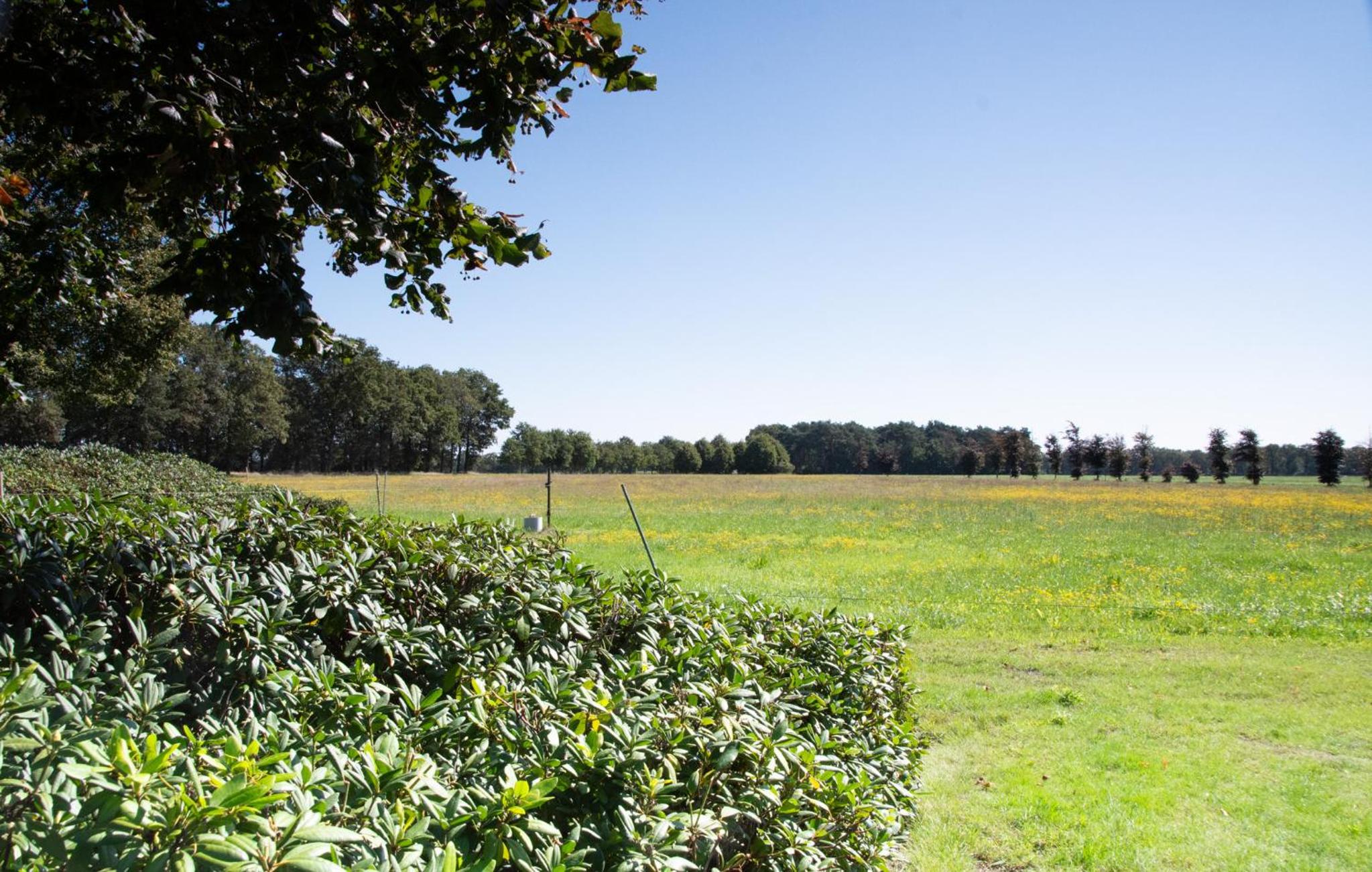 Bed and Breakfast Lindershoeve Bergeijk