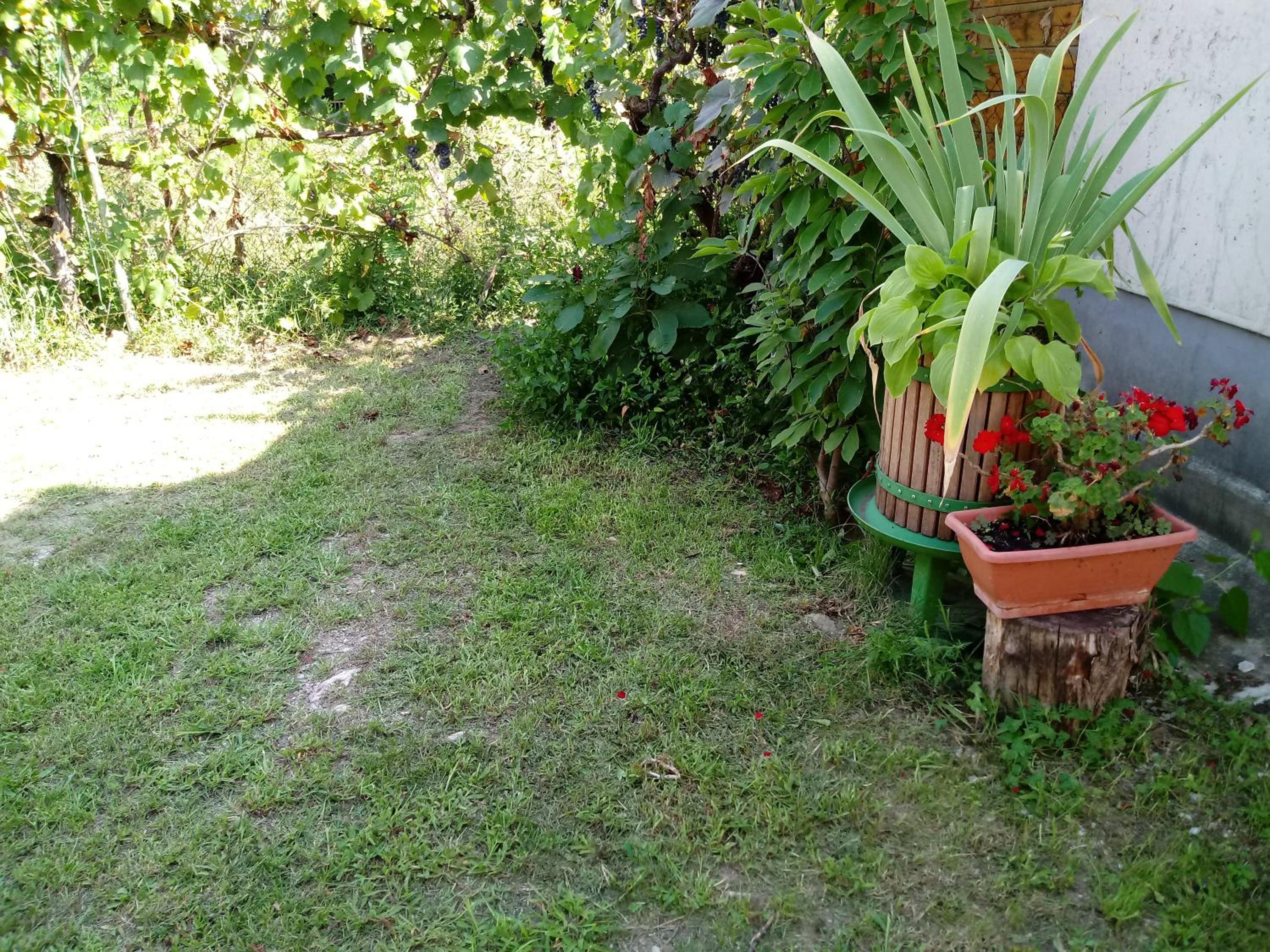 Photo 32