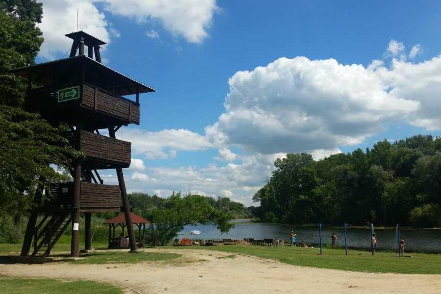 Photo 19