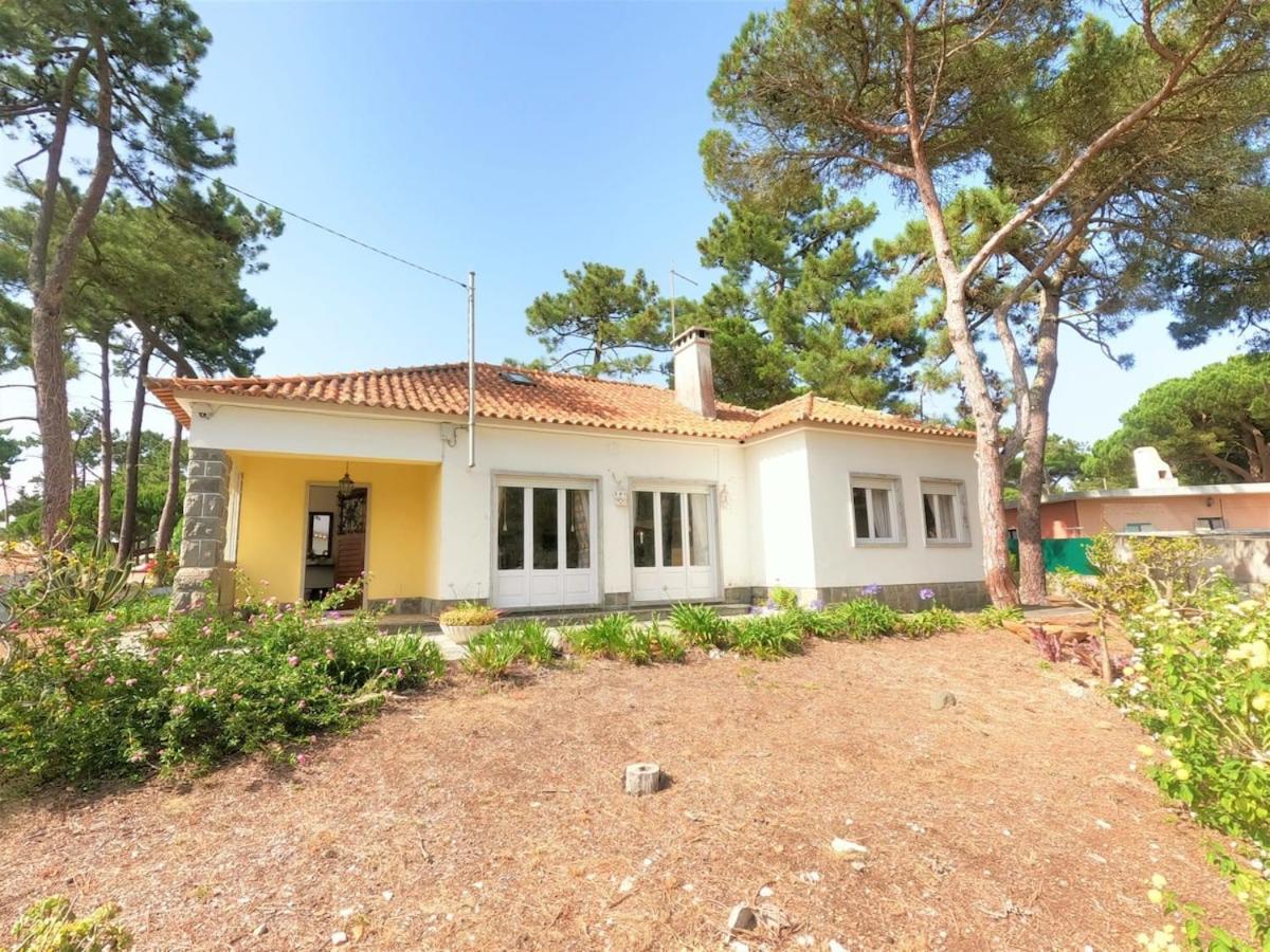 Sintra V4 house with garden in Colares view 2