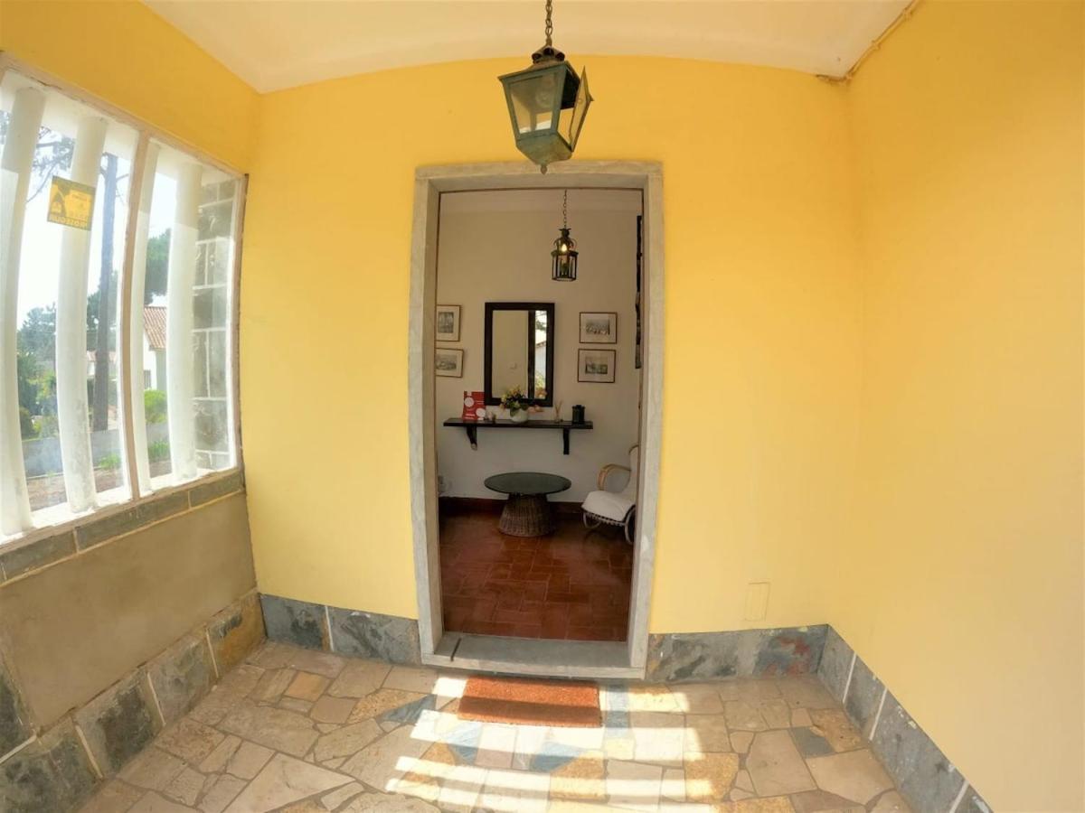 Photo 45