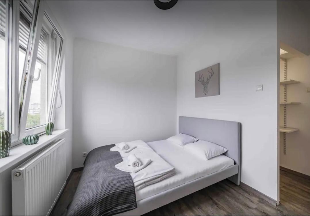 Apartment in perfect location