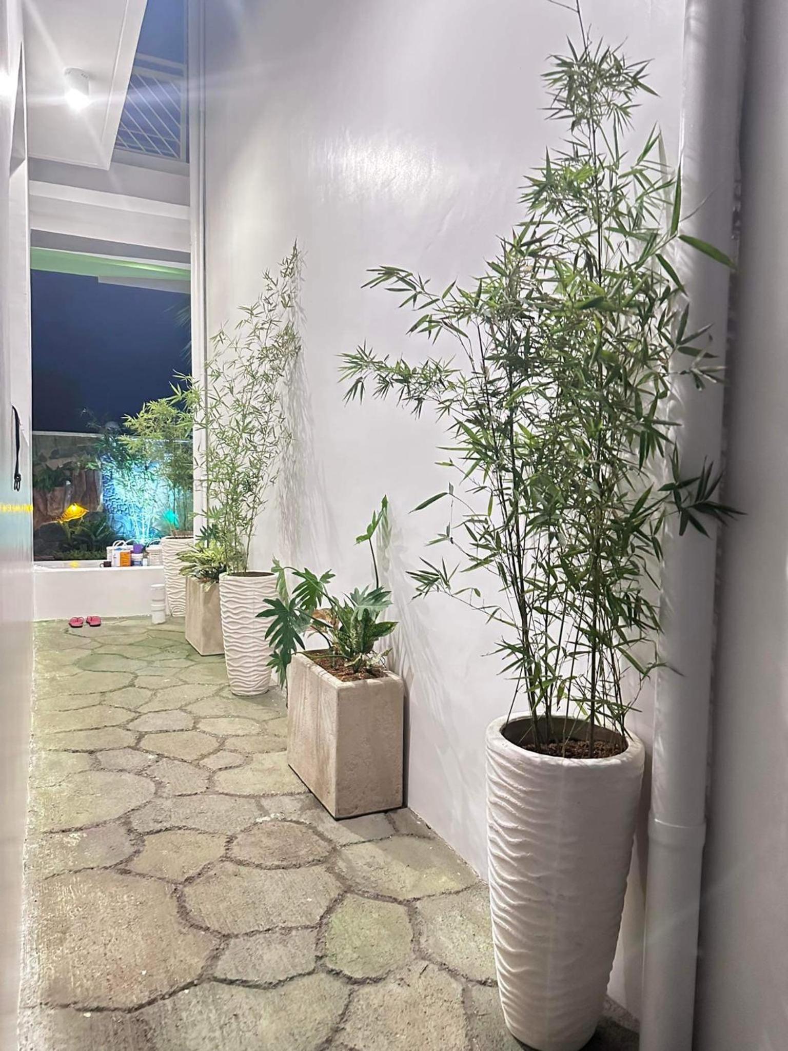 The Garden