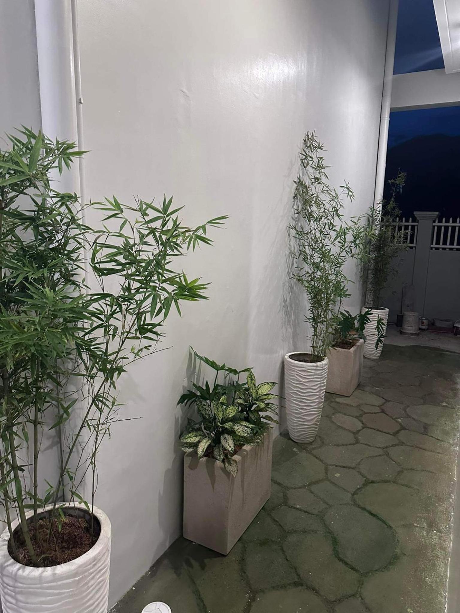 The Garden