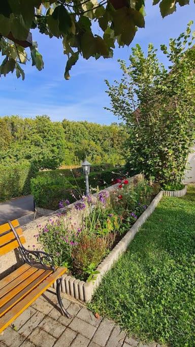 Appartement confortable à deux pas de l'EPFL - l'UNIL