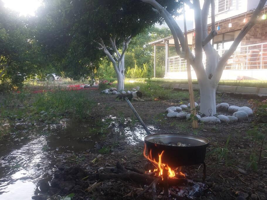 Photo 18