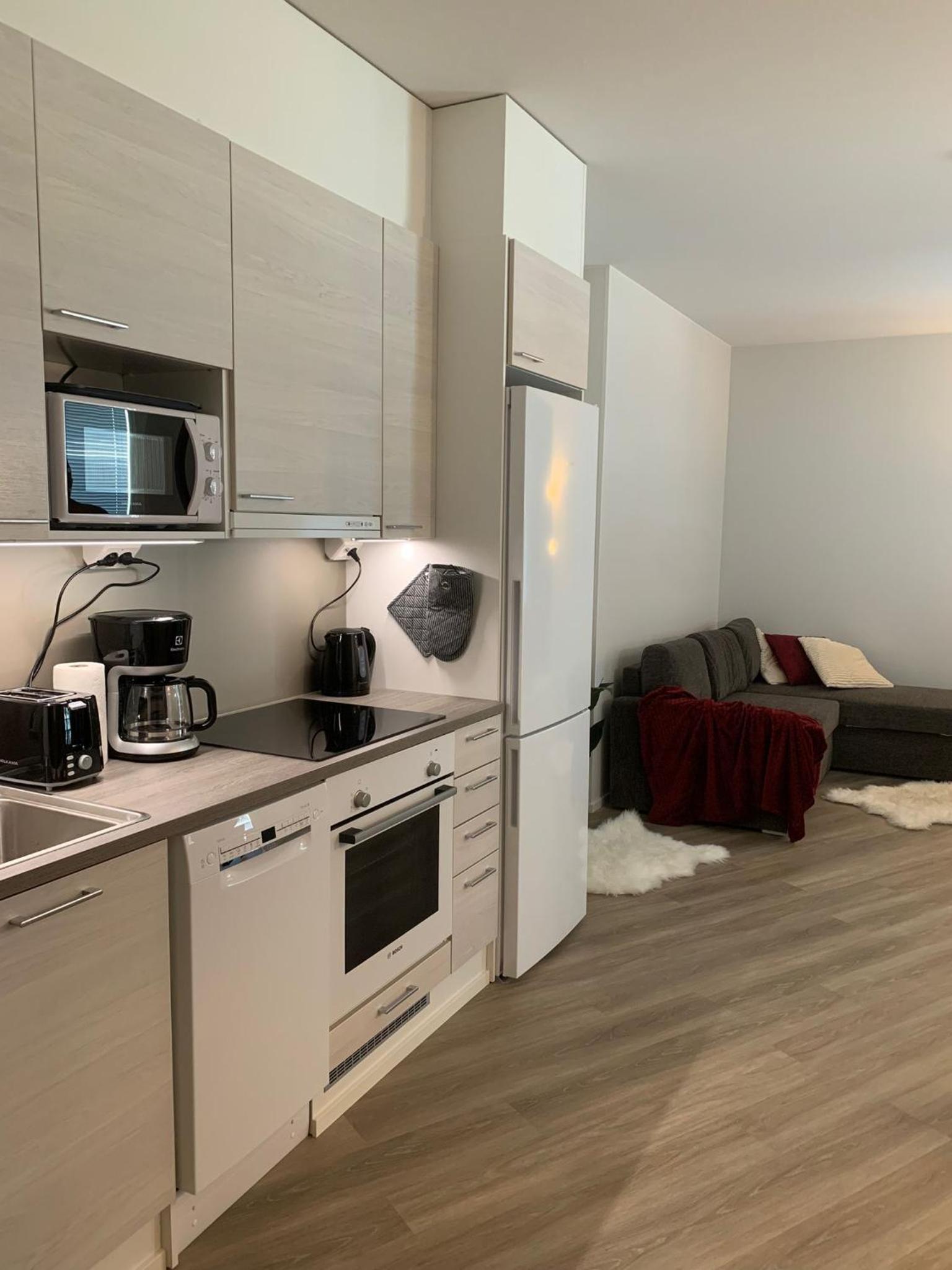 Arctic Star Apartment Rovaniemi City Center - Aurora view