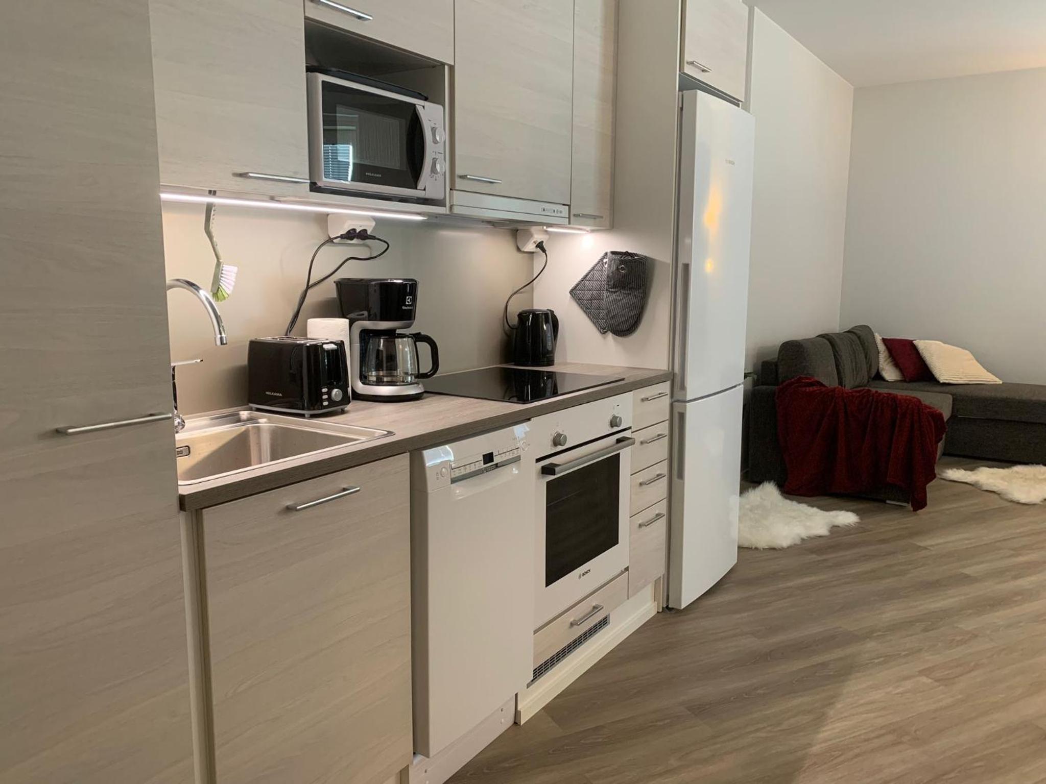 Arctic Star Apartment Rovaniemi City Center - Aurora view