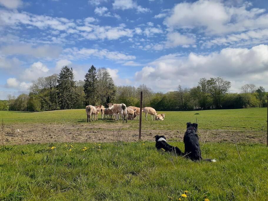 Gîte de la Dame au Lit Gîte à la ferme Chimay