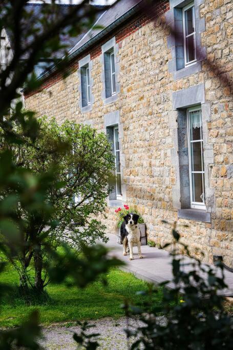 Gîte de la Dame au Lit Gîte à la ferme Chimay
