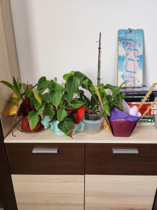 Modern apartment. Best location