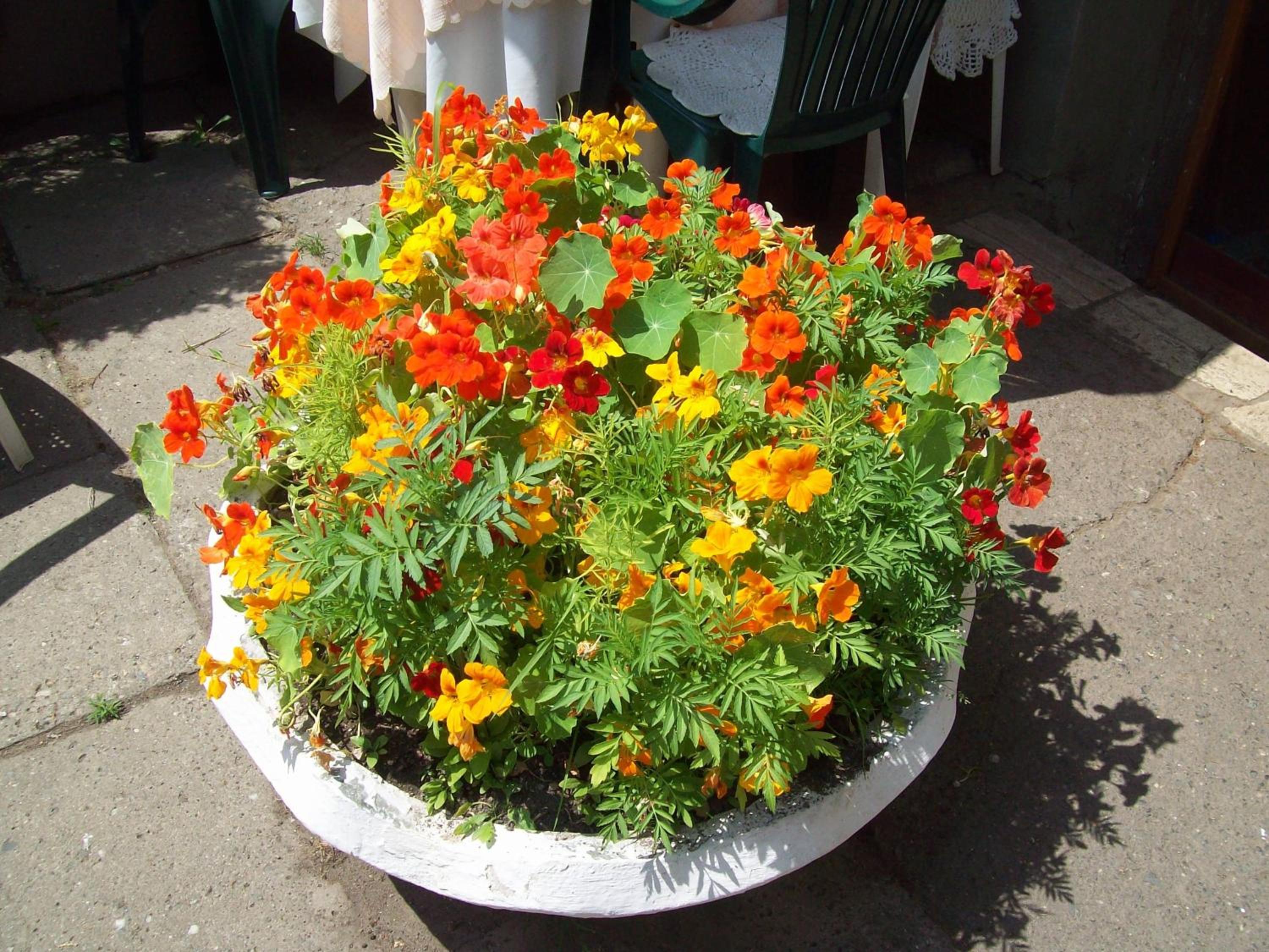 Photo 26