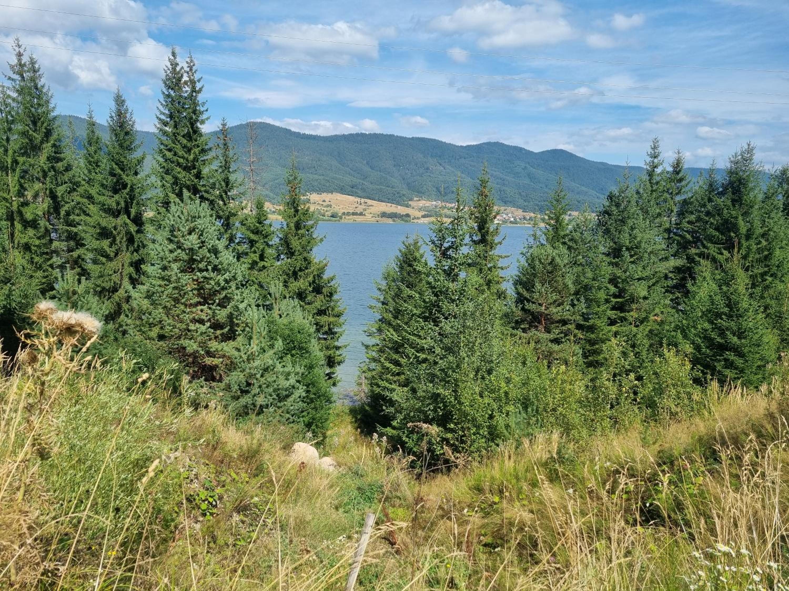Villa Hills - къща за гости с храна