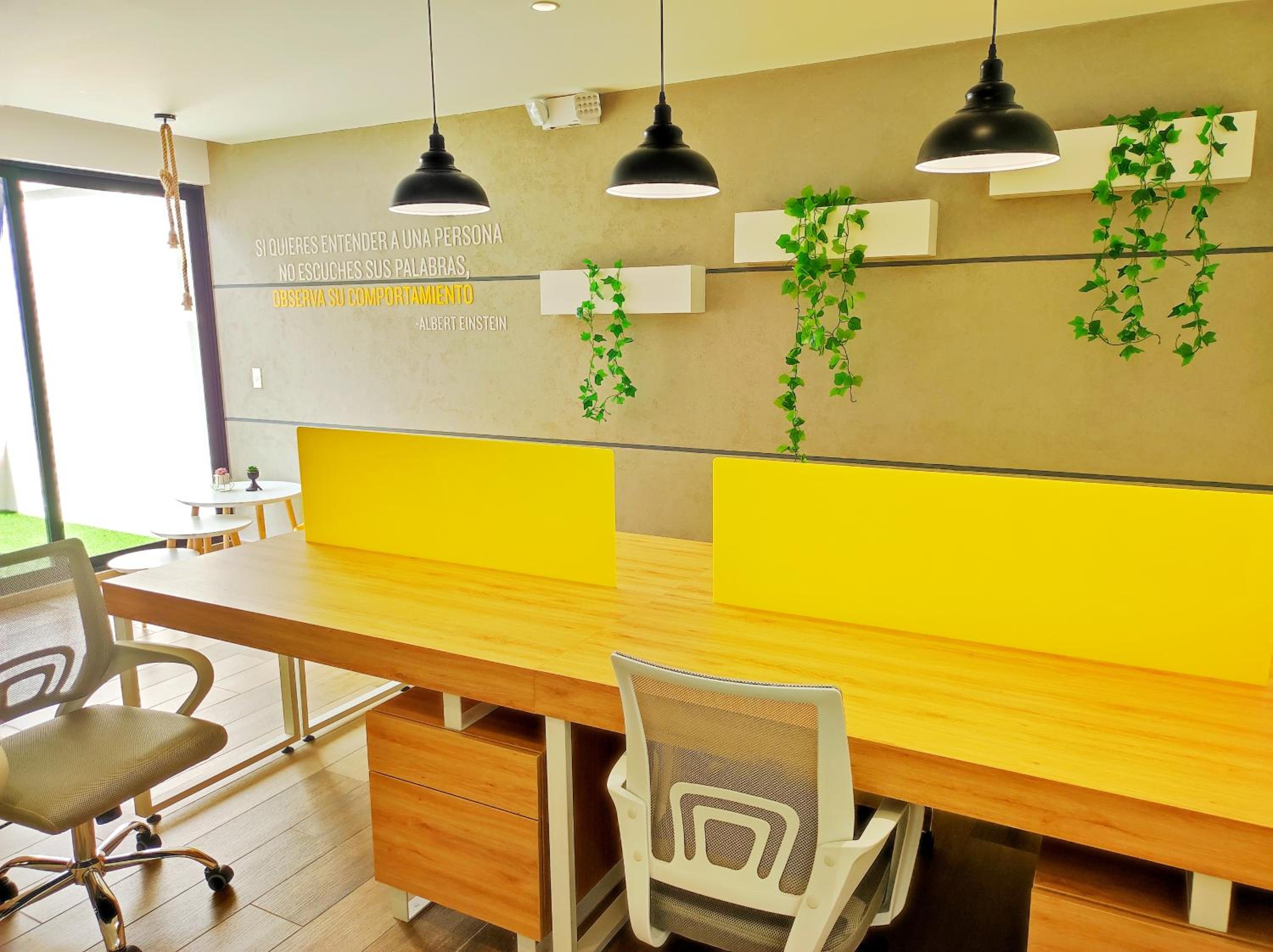 Charming Studio Quito Carolina Coliving Ecuador