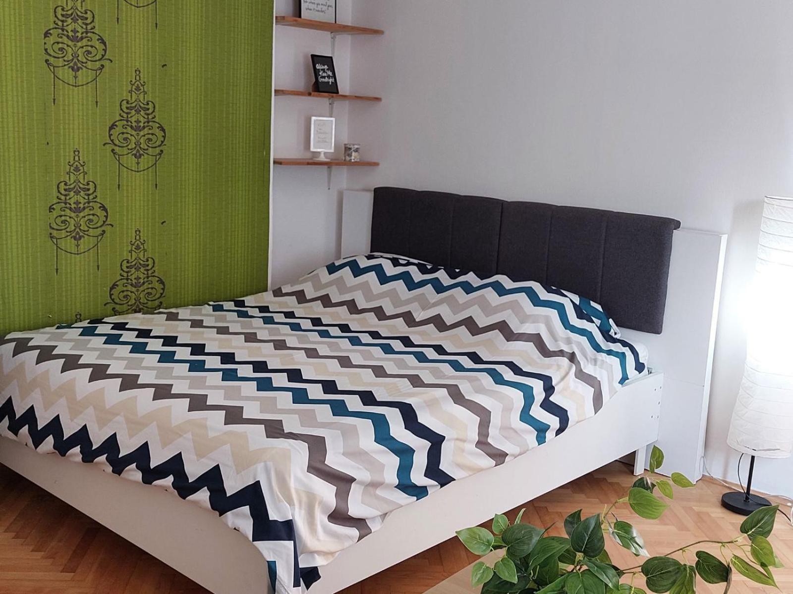 Apartment Kiwi