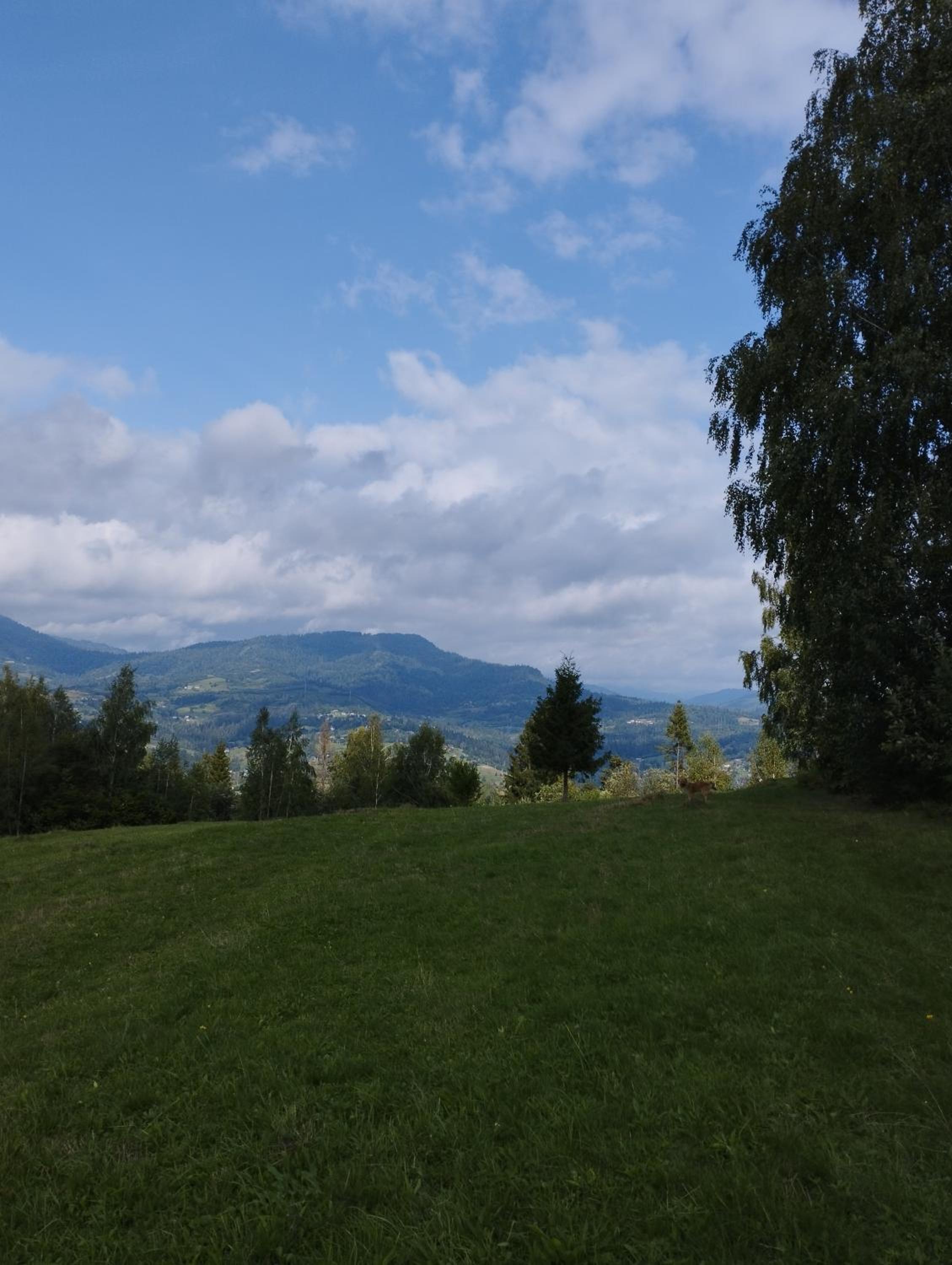Photo 27