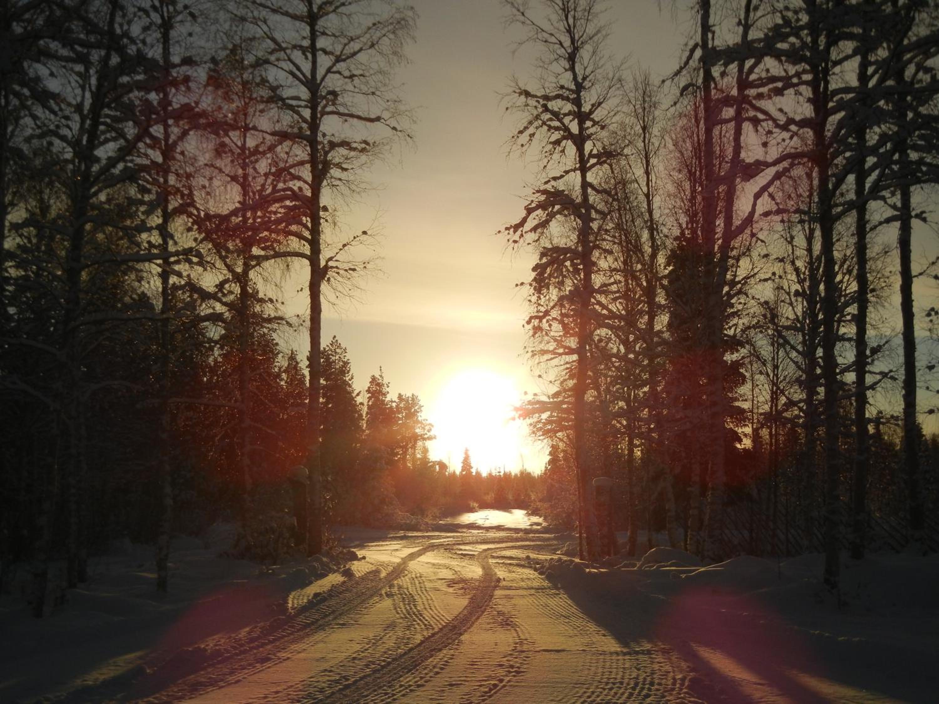 Photo 24