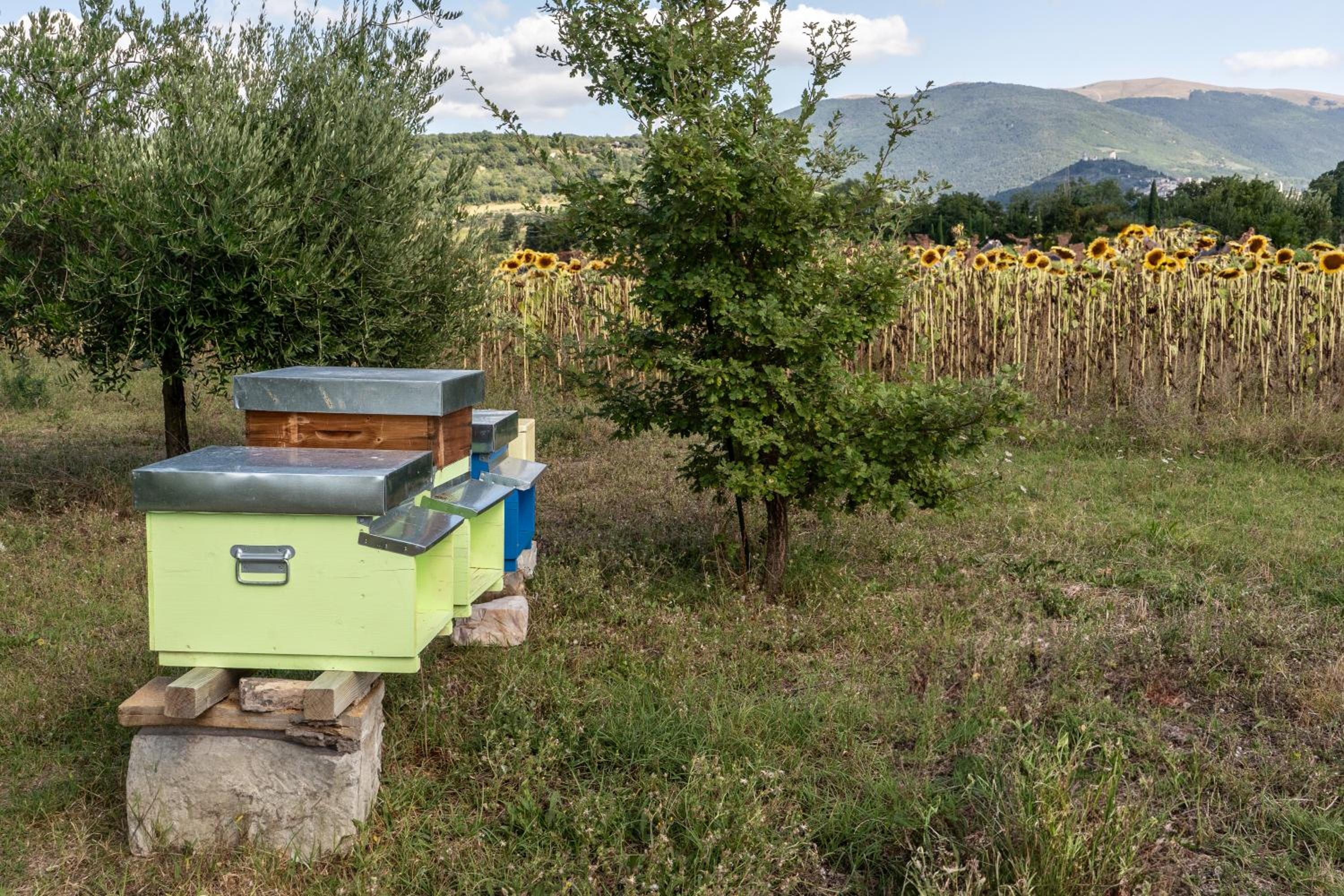 CASA VACANZE DIONIGI