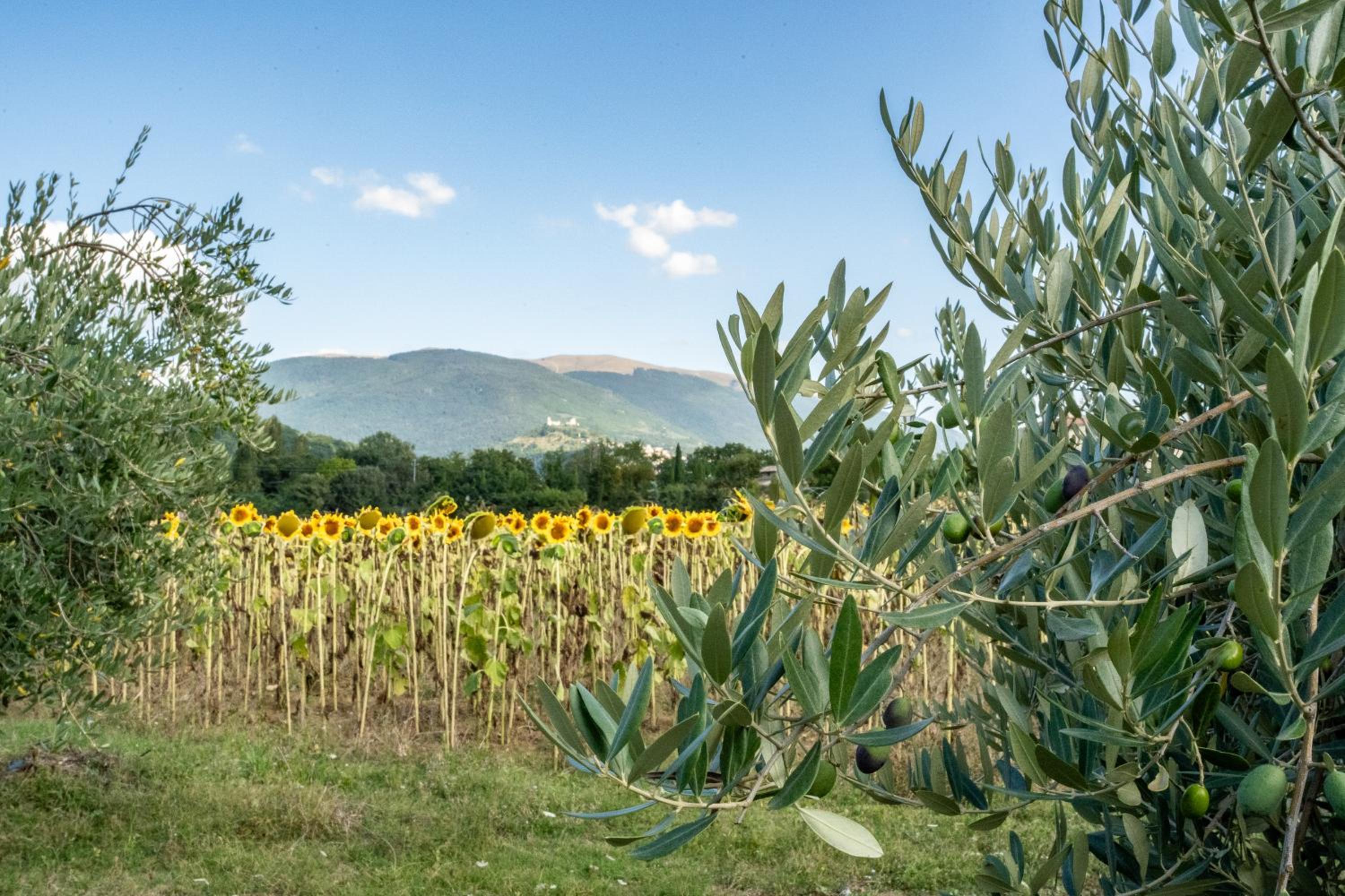 CASA VACANZE DIONIGI
