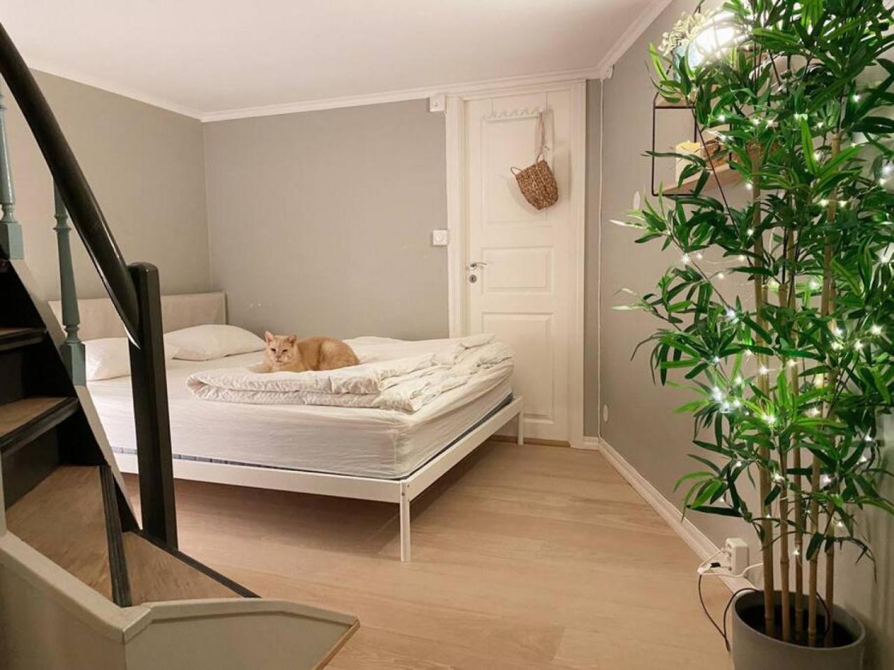 Dinbnb Homes I Cozy Cellar Apartment in Historical Cobblestone Street" view 3