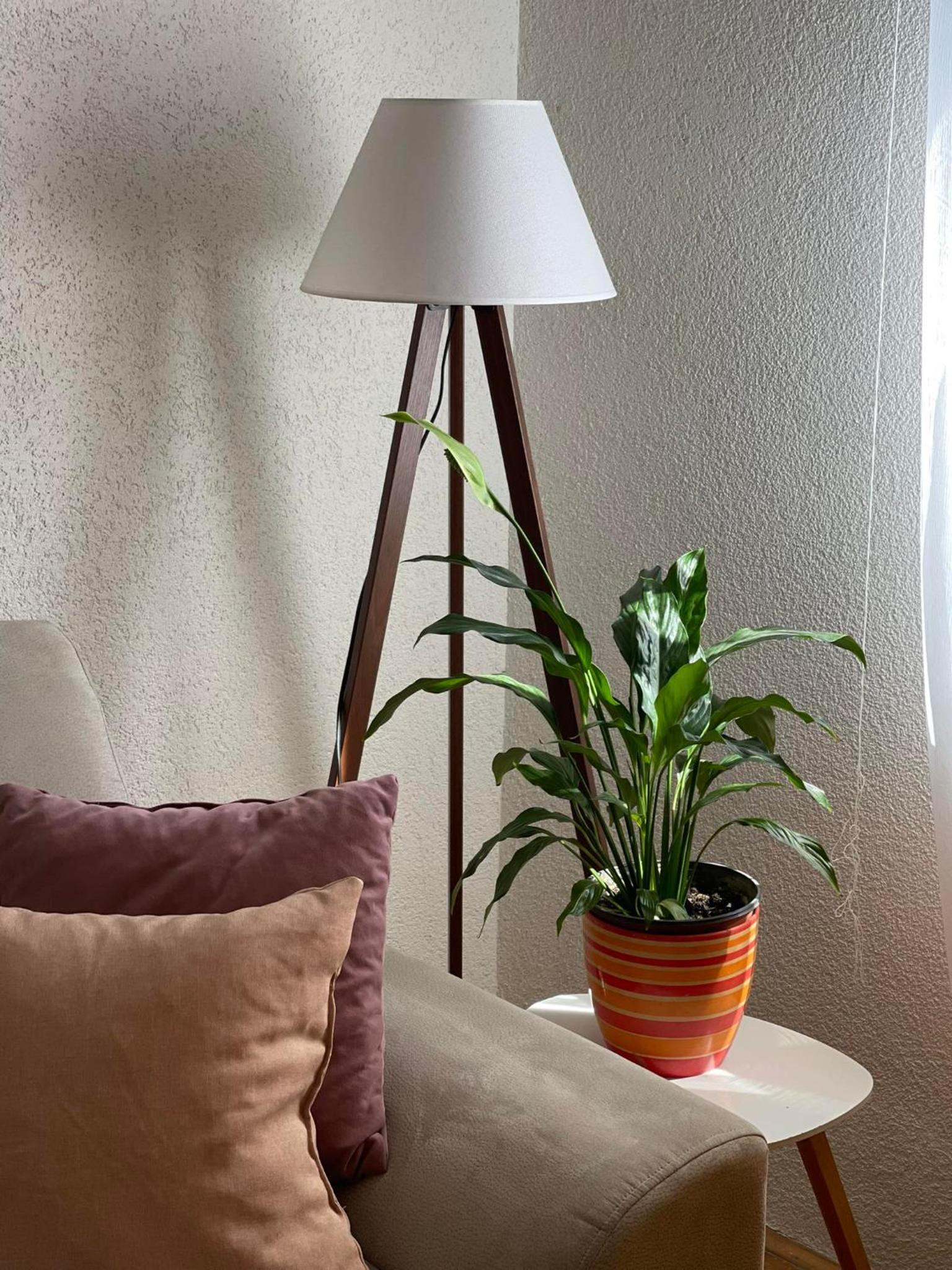 Dženx Apartmani