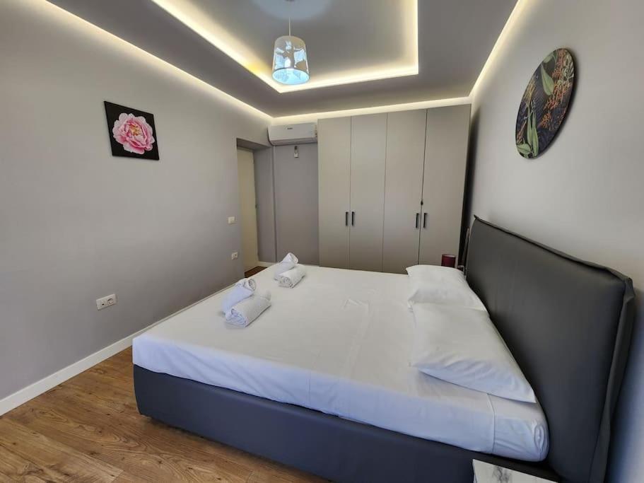 Cozy Midtown Apartment in Tirana