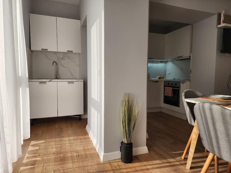 Cozy Midtown Apartment in Tirana