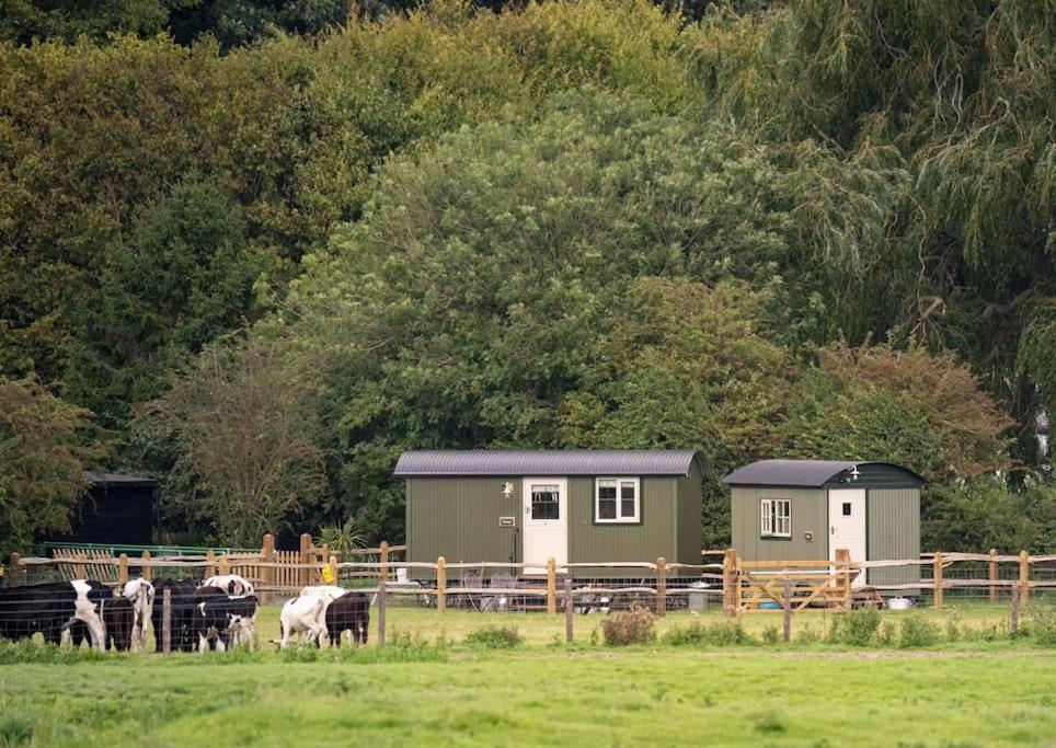 Shepherds Huts Tansy & Ethel in rural Sussex view 5