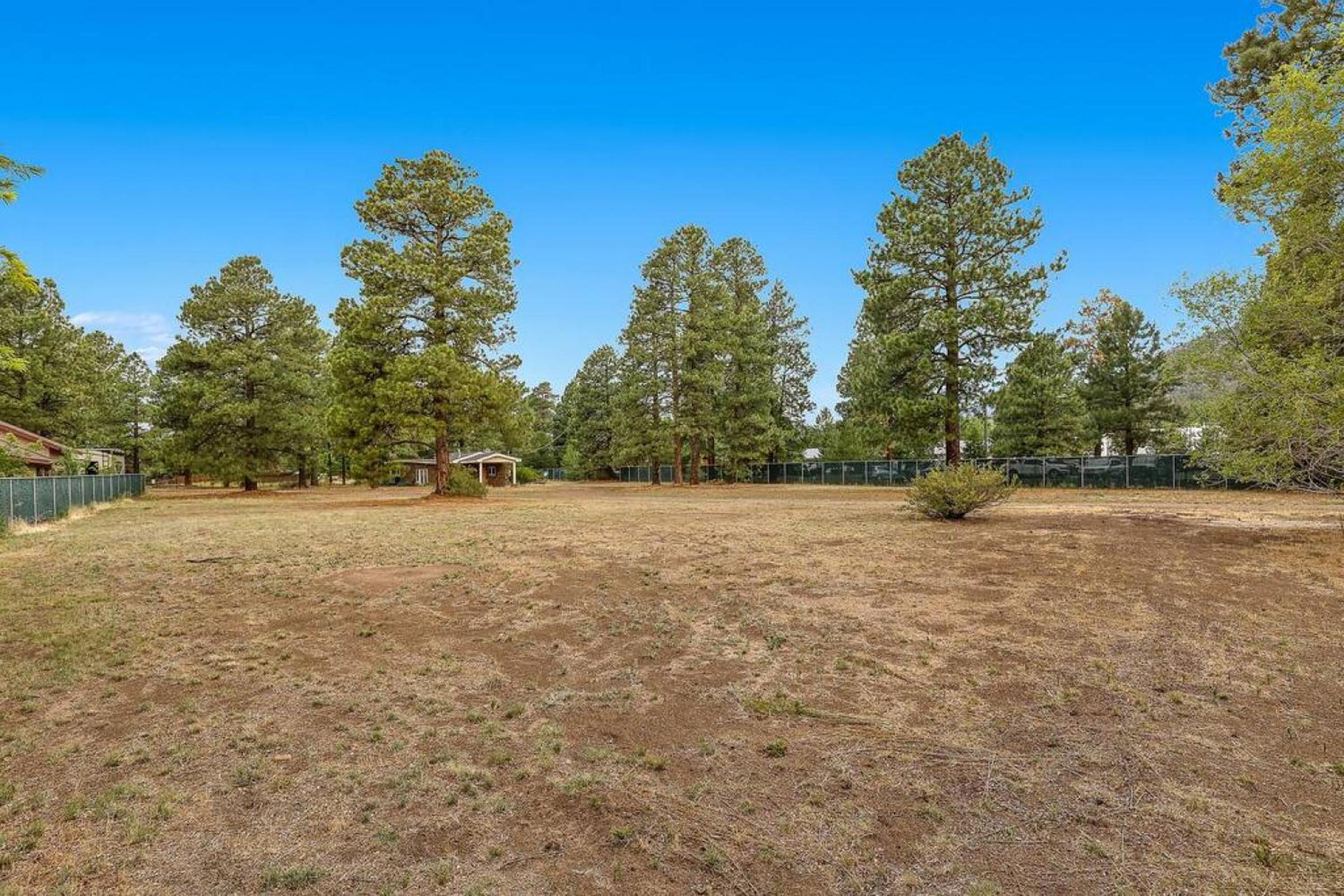 Historic Ranch house AC on forest acres in town view 3