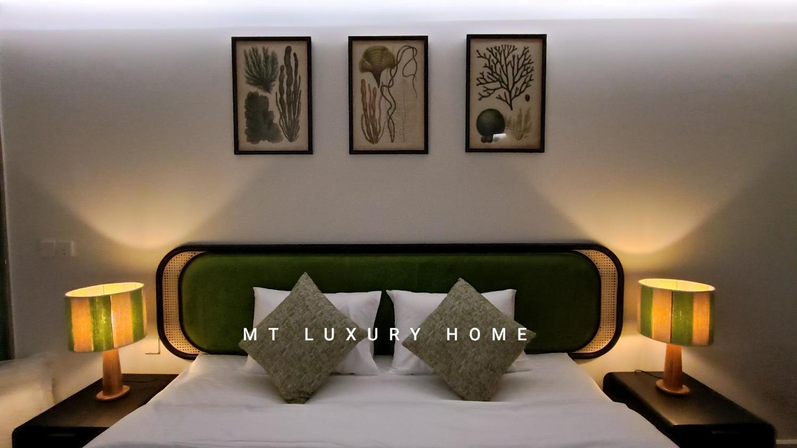 MT- Luxury Home view 4