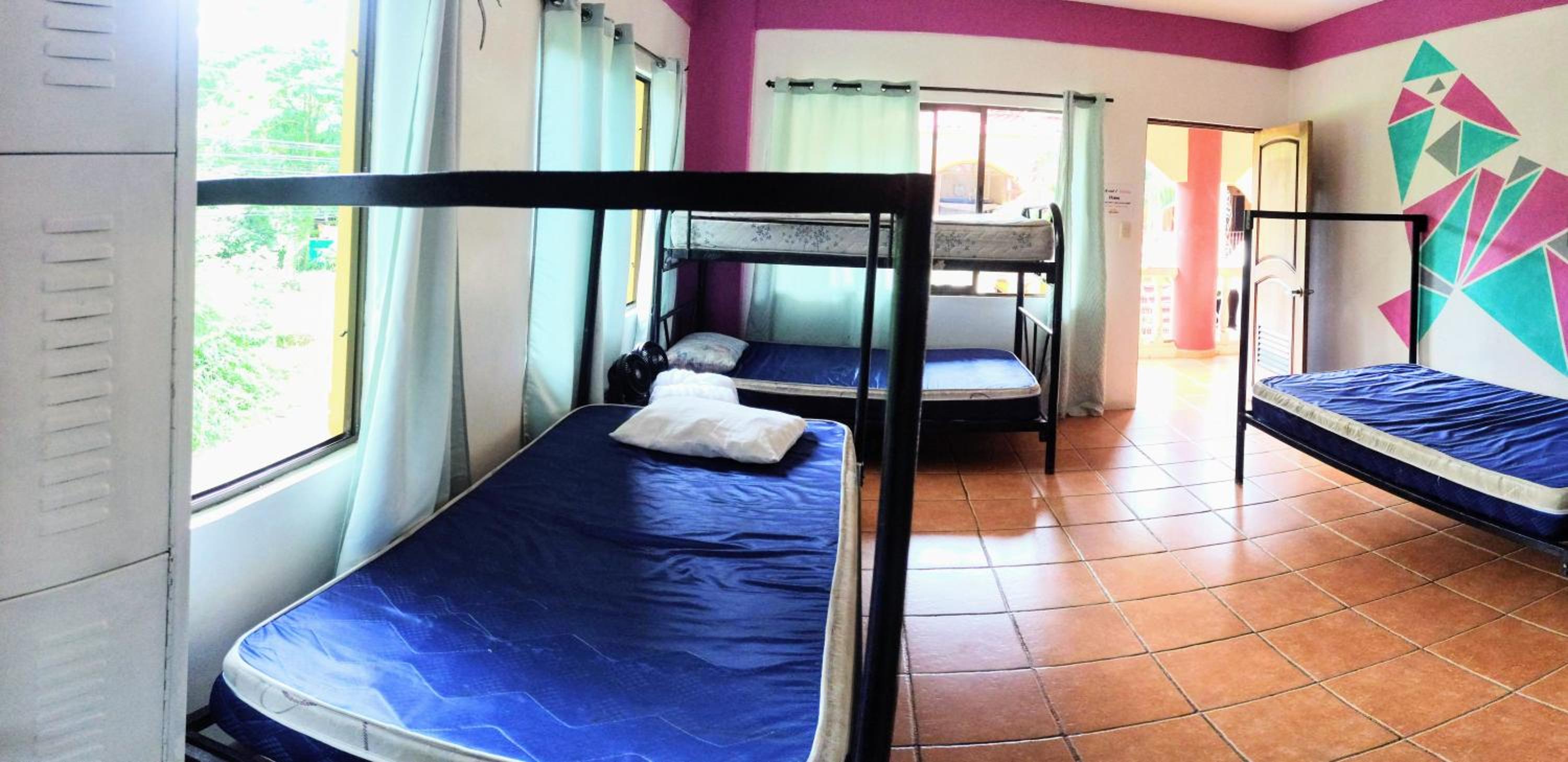 Cool Vibes Beach Hostel 17